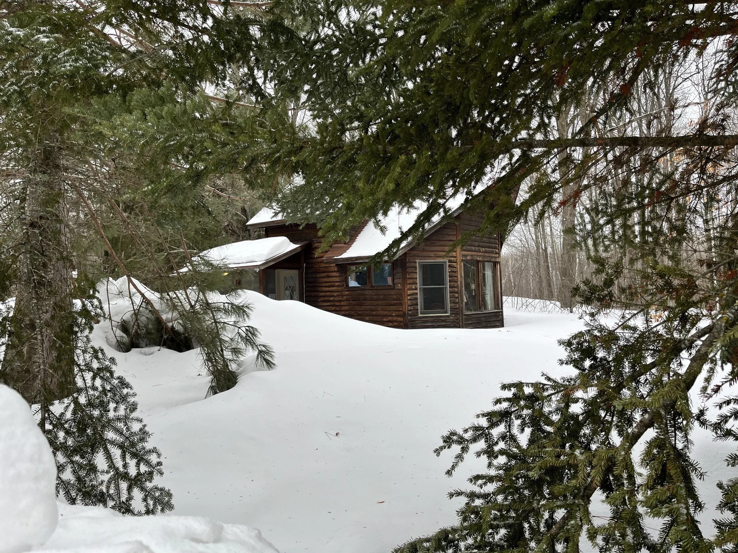 A Snowy Cabin in Minnesota