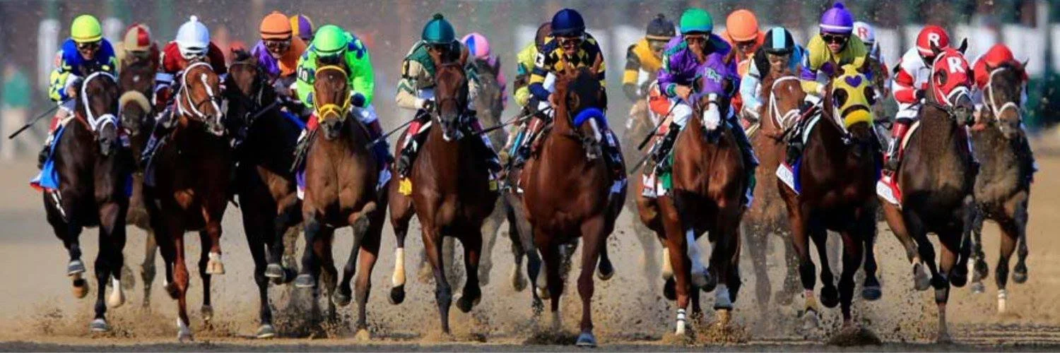 horse racing3.jpg