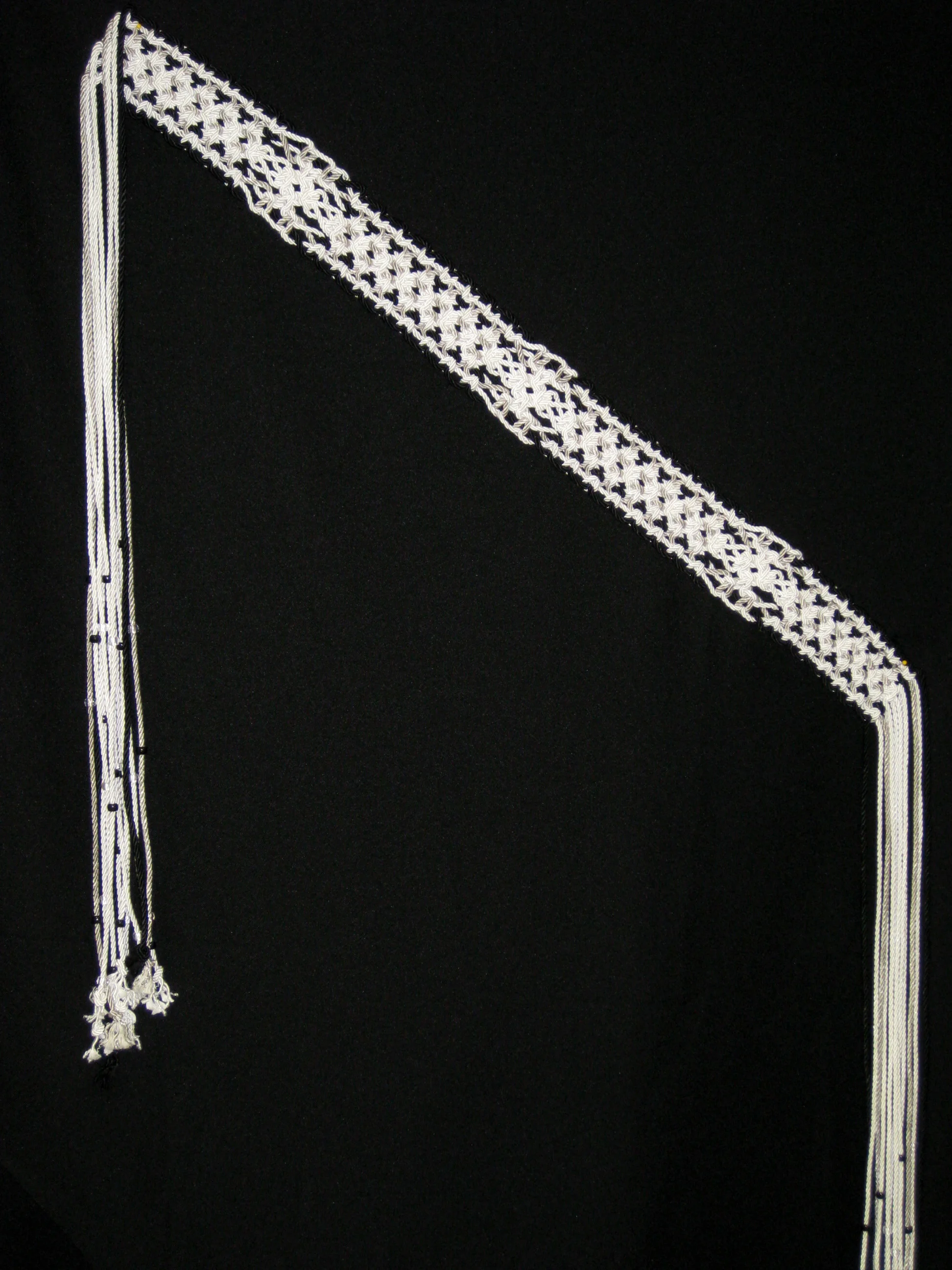 Sleek Tapestry Belt.JPG