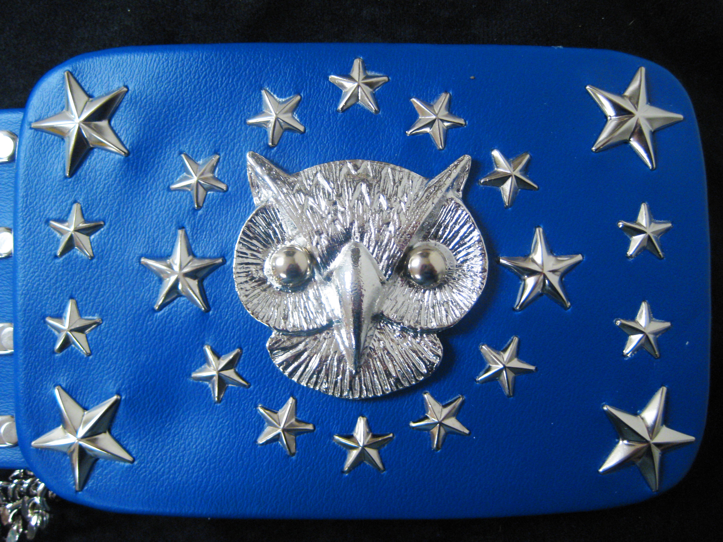 Owl Buckle.JPG