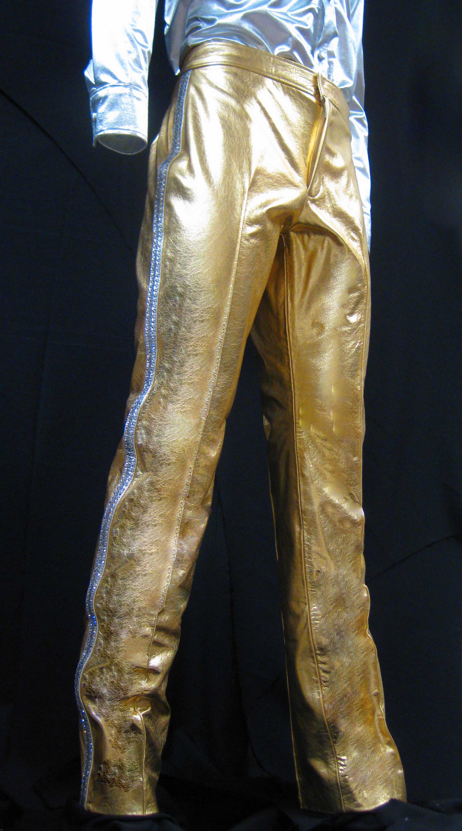 Gold Lame Pants.jpg