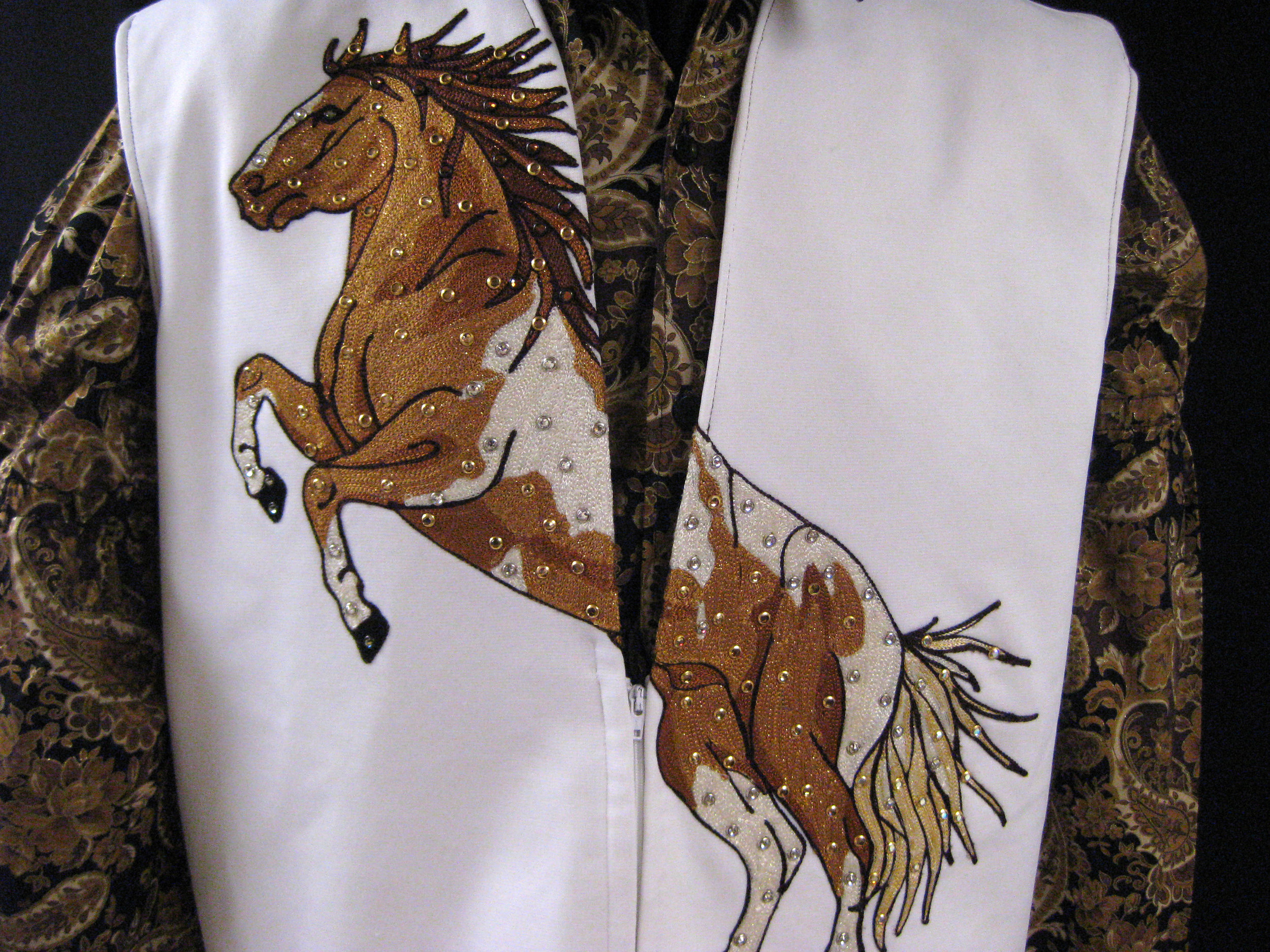 Horse Vest Charlie Paciullo Close.jpg