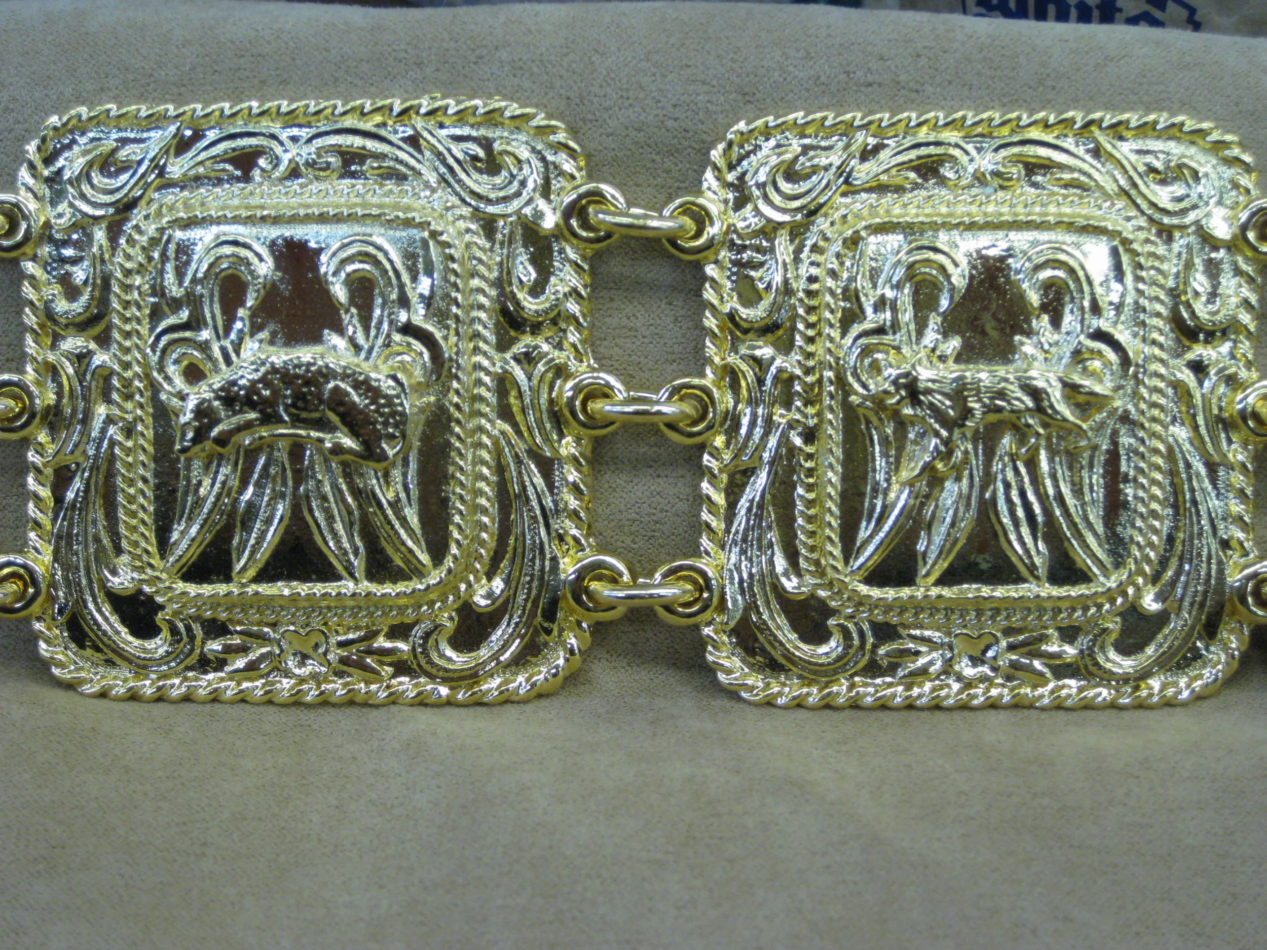 25th Fox&Cheetah.JPG