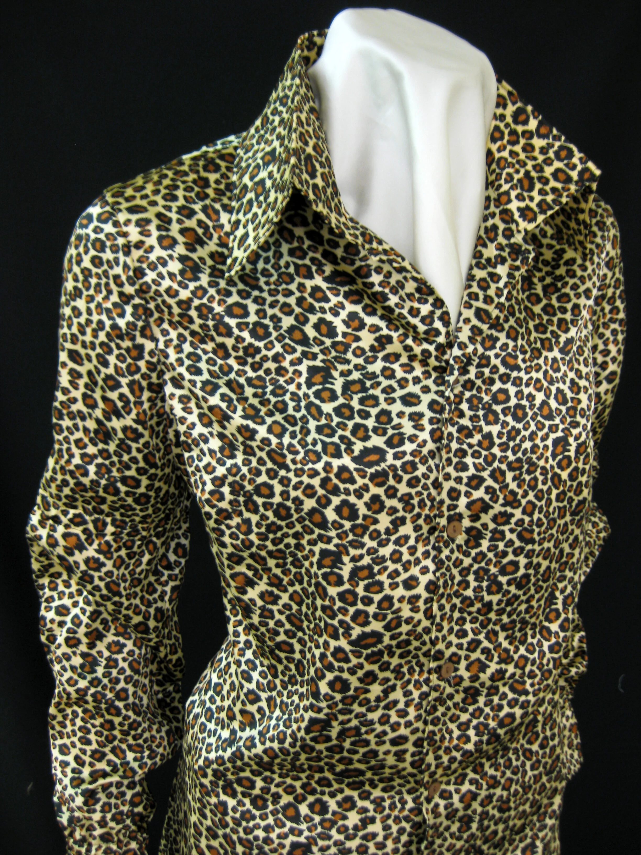 Leopard.jpg