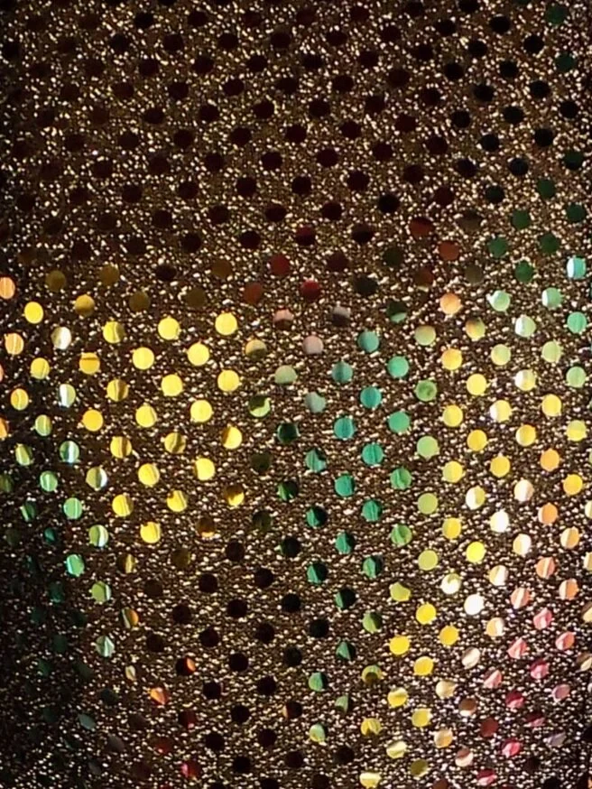 Black+Multicolor+Sequin.jpg