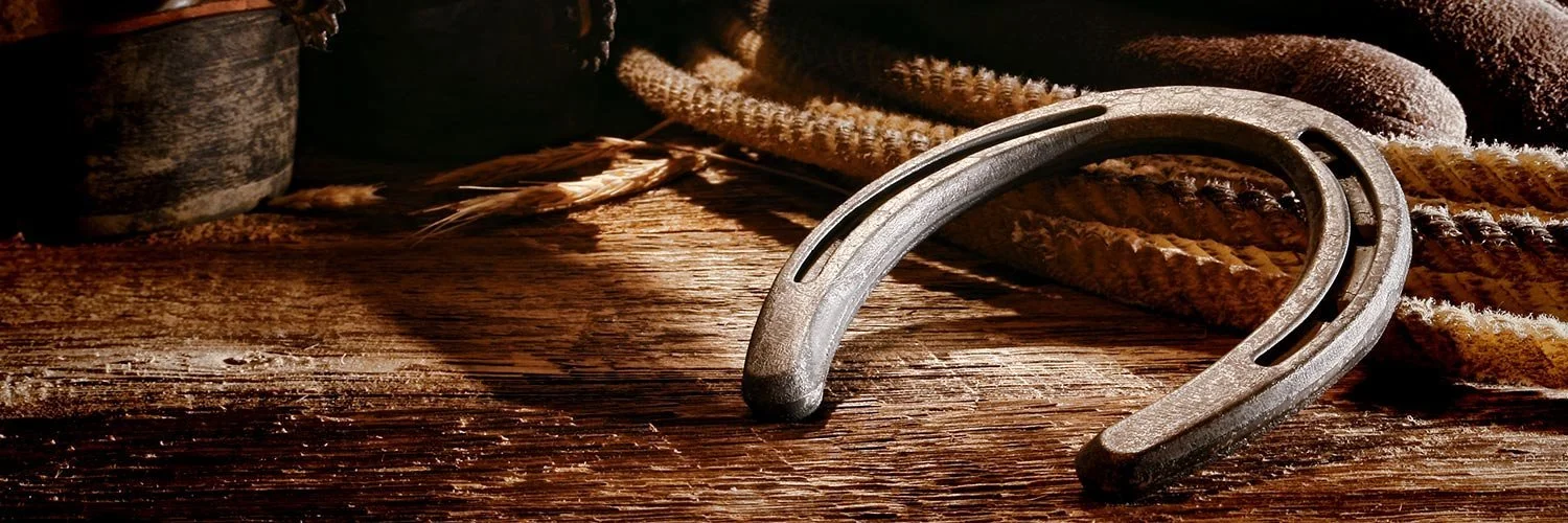 horseshoe.jpg