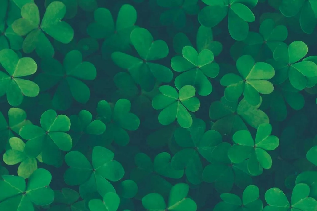 St-Patricks-Day-banner.jpg