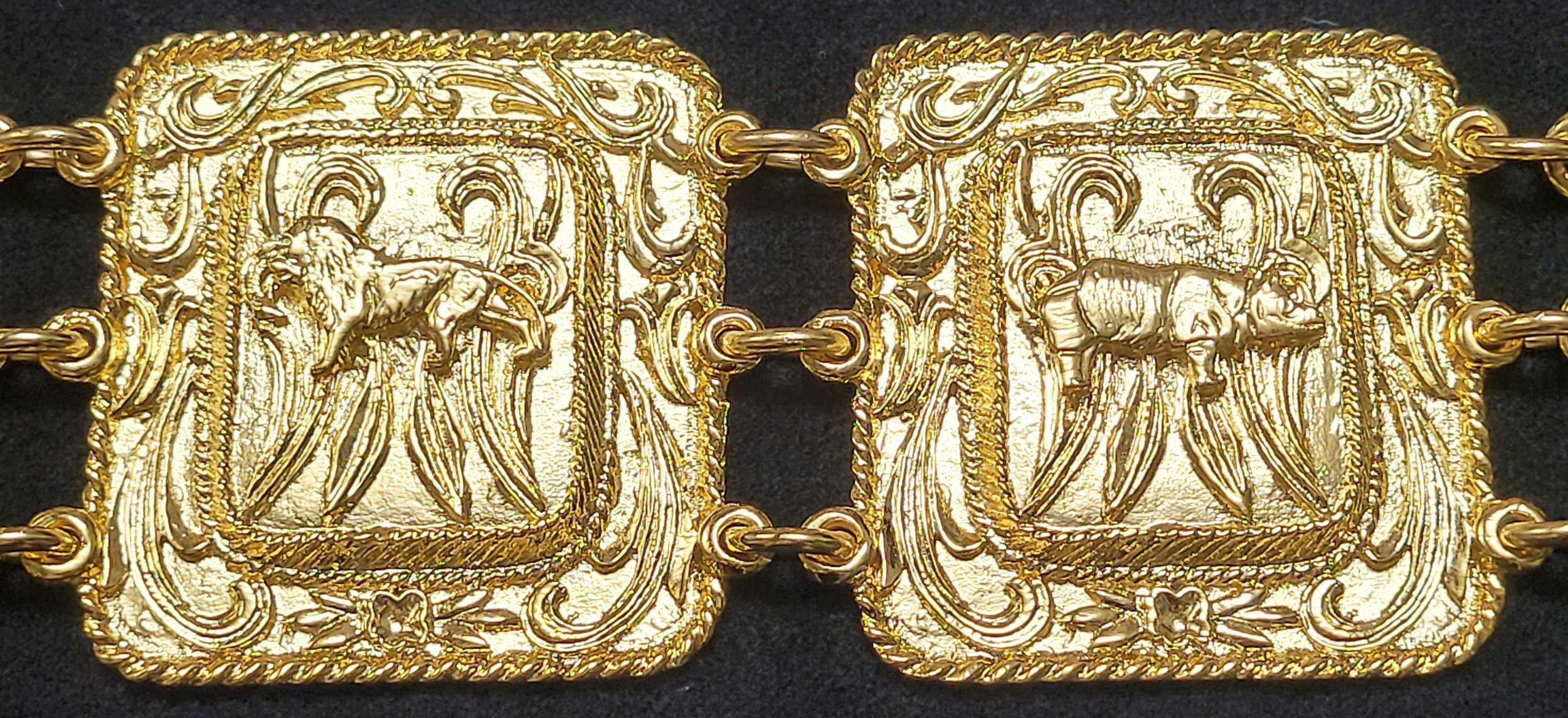 25th Lion&Rhino 2025 (5).JPG