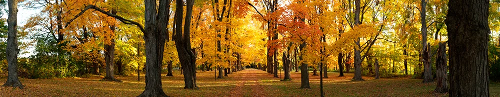 fineart-15.jpg