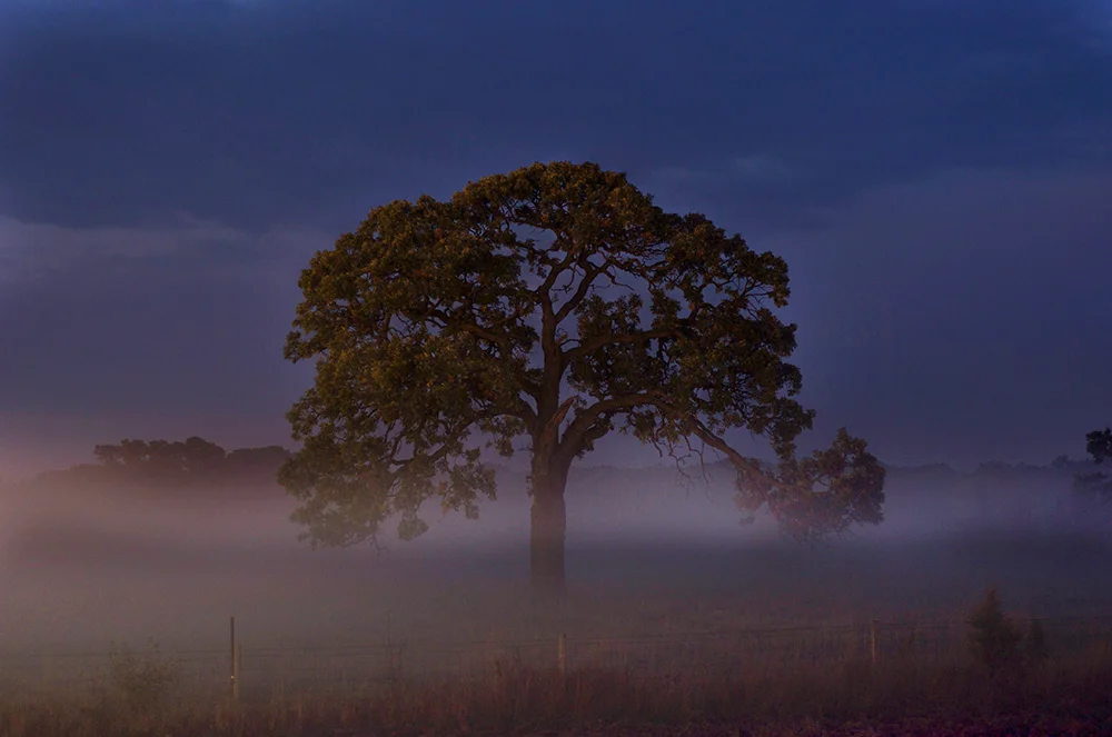 fineart-16.jpg