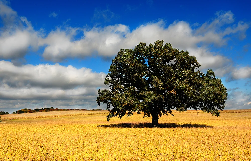fineart-20.jpg