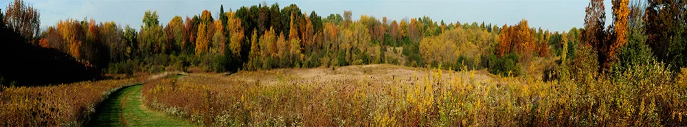 fineart-22.jpg