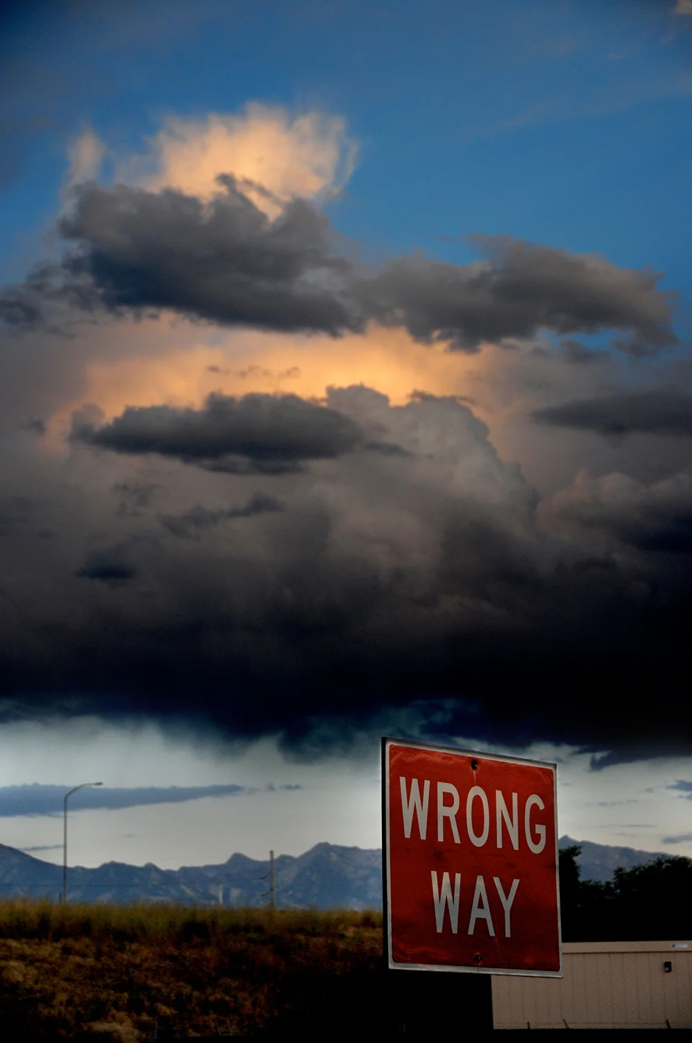 fineart-24.jpg