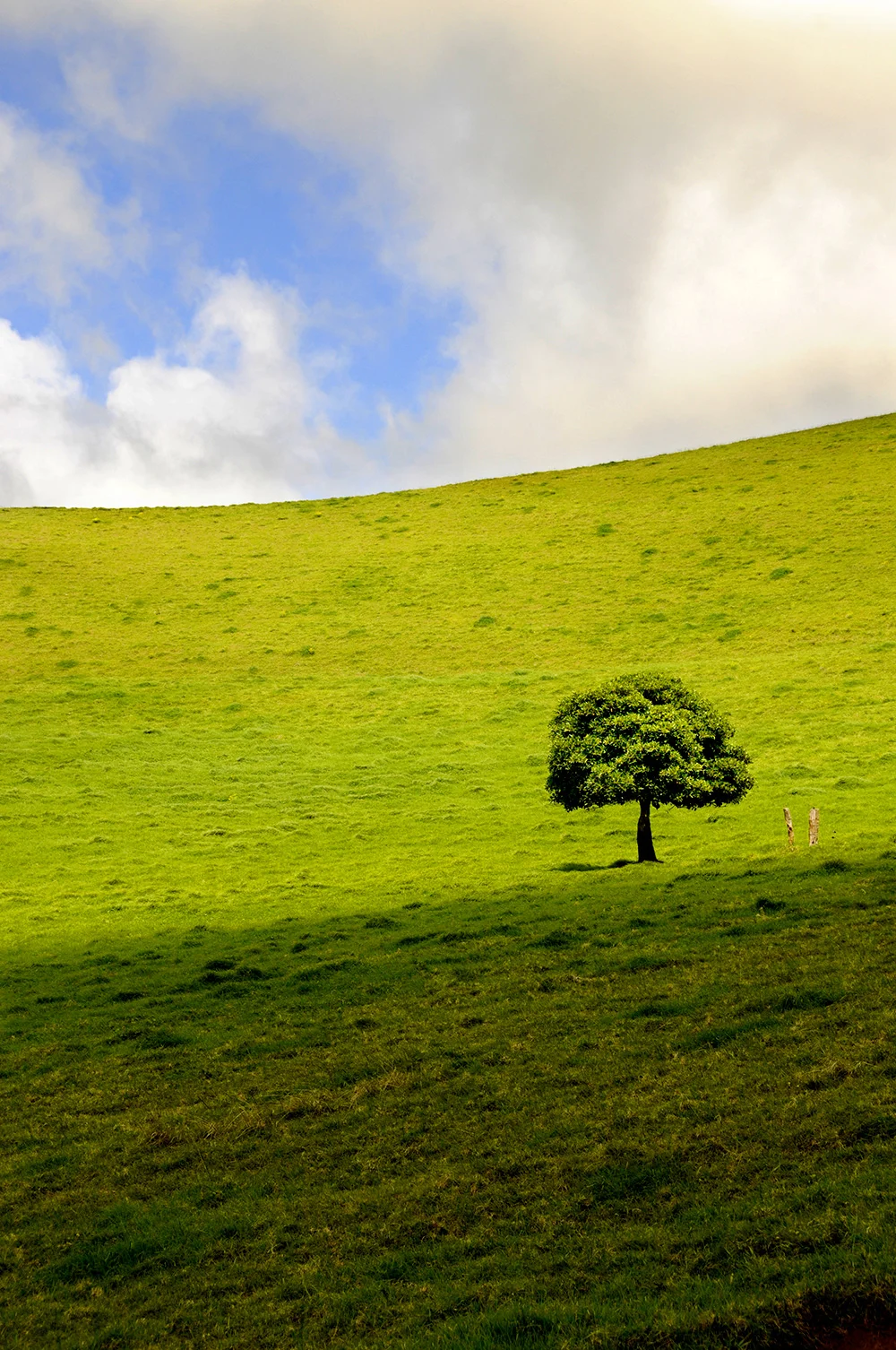 fineart-25.jpg