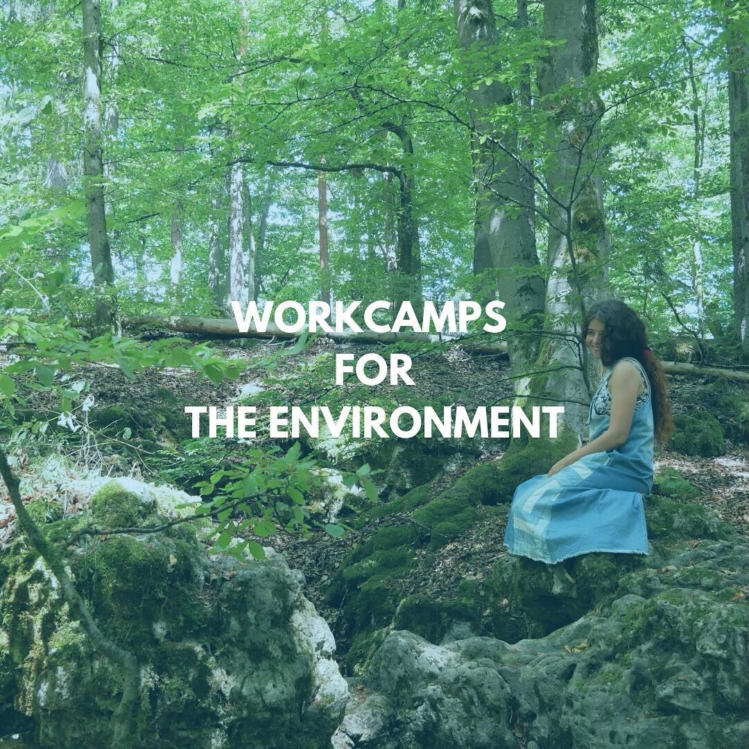 🌿 Get in touch with nature with our environmental workcamps! 

🌱 These experiences help safeguard our planet and teach the value of sustainable living, so that we can protect and give back to our planet. Whether you&rsquo;re helping build and eco-c