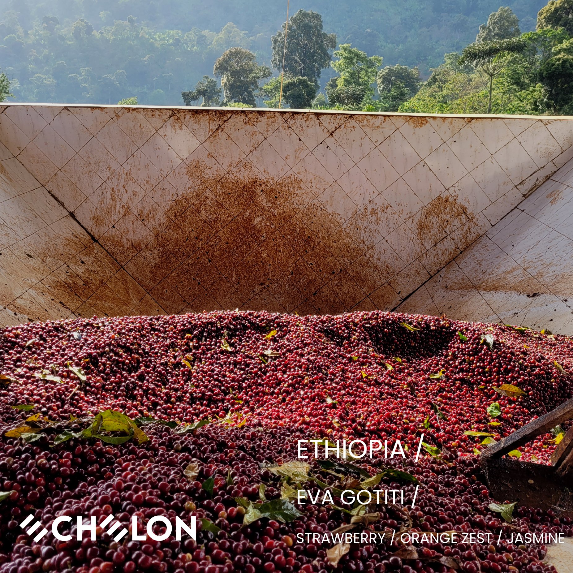Ethiopia - Eva Gotiti