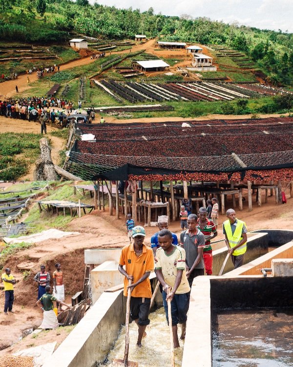 BURUNDI-TIB_800x600.jpg