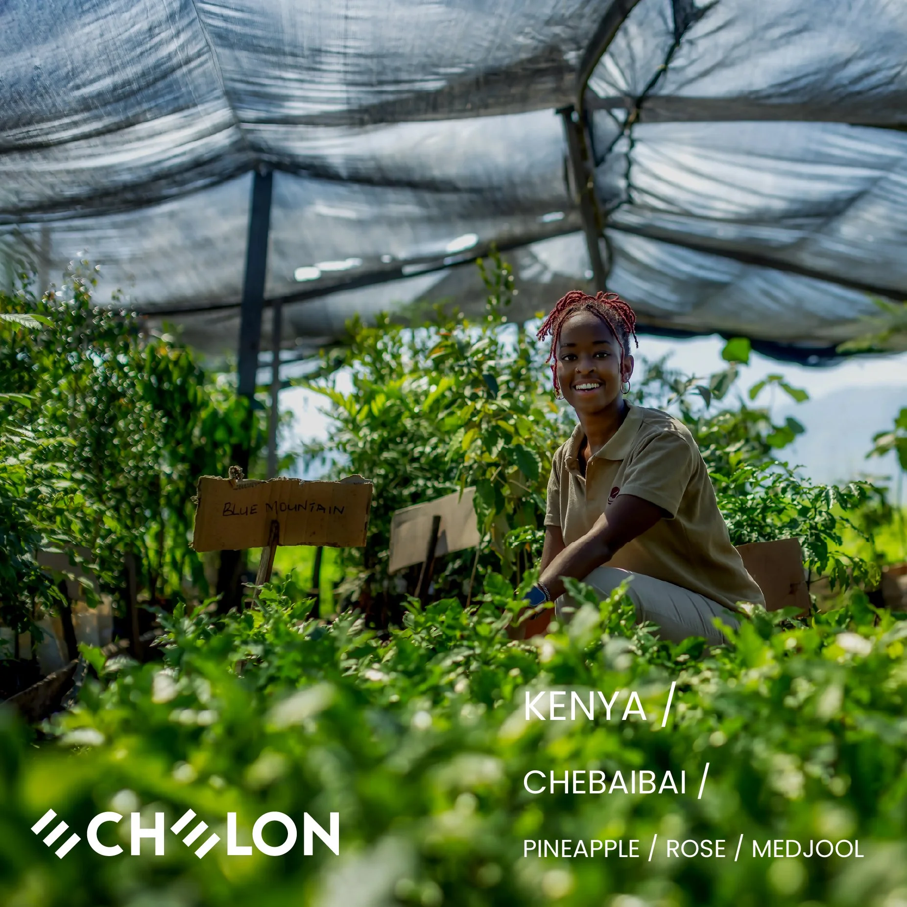 Kenya - Chebaibai anaerobic