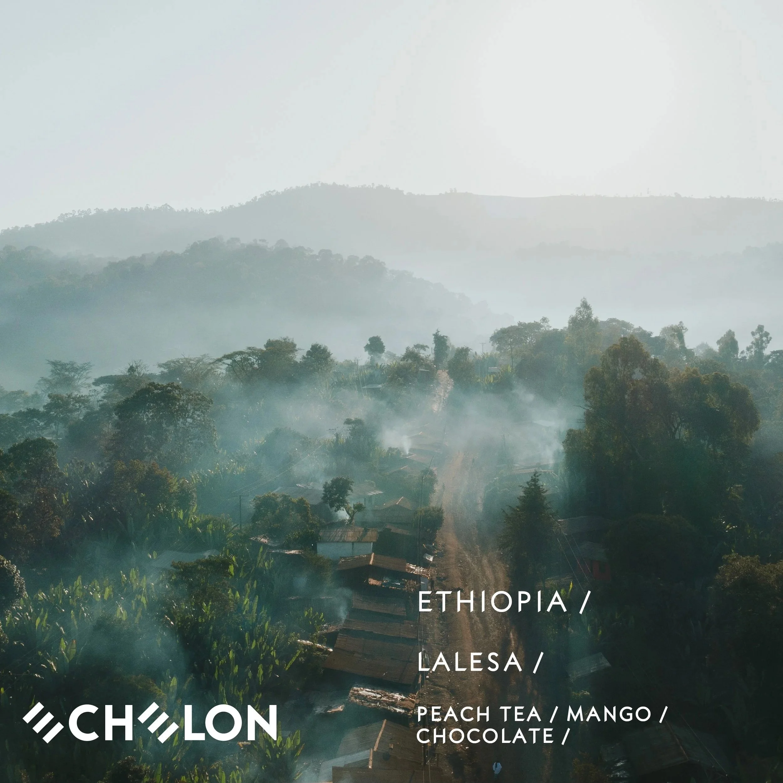 Ethiopia - Lalesa