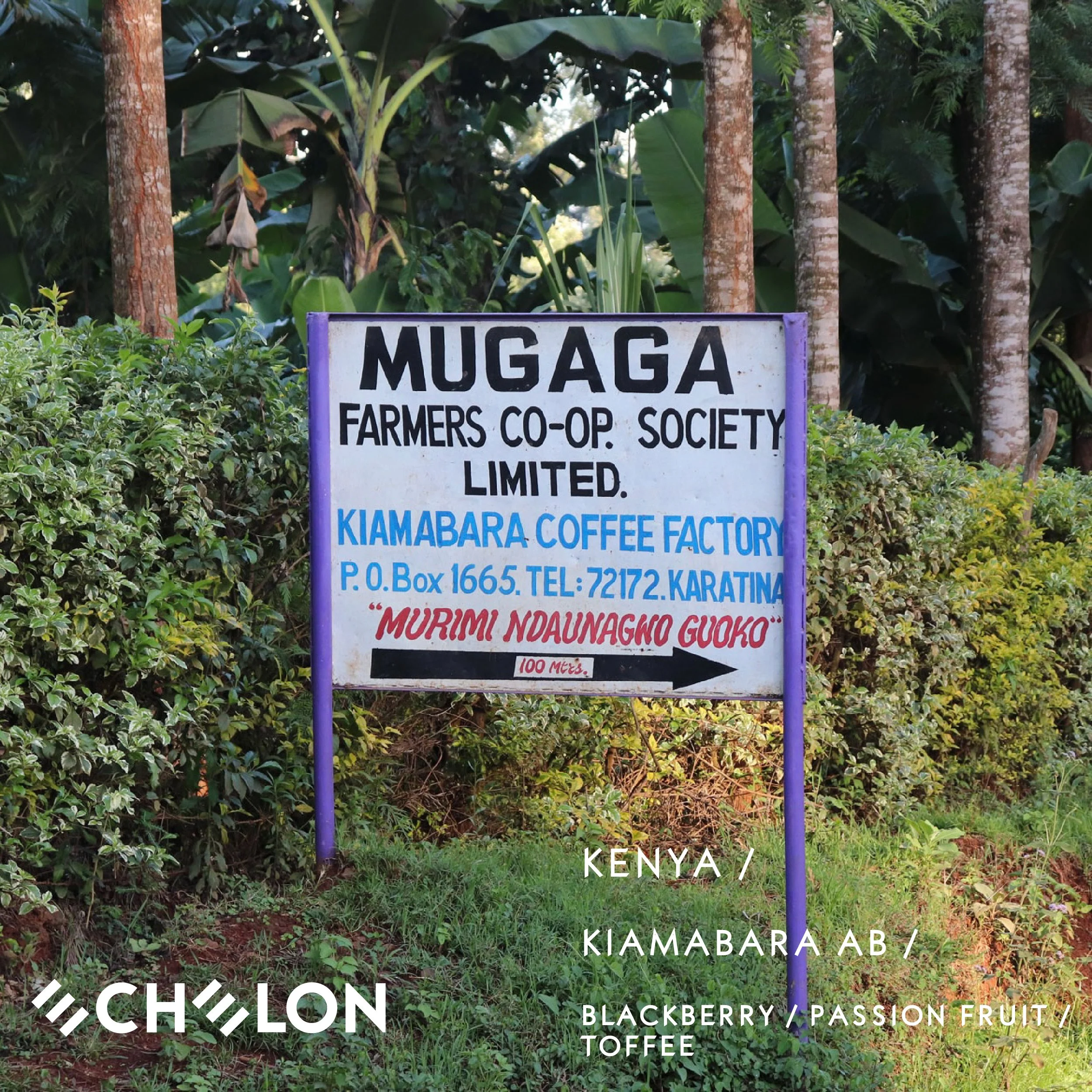 Kiamabara web.jpg