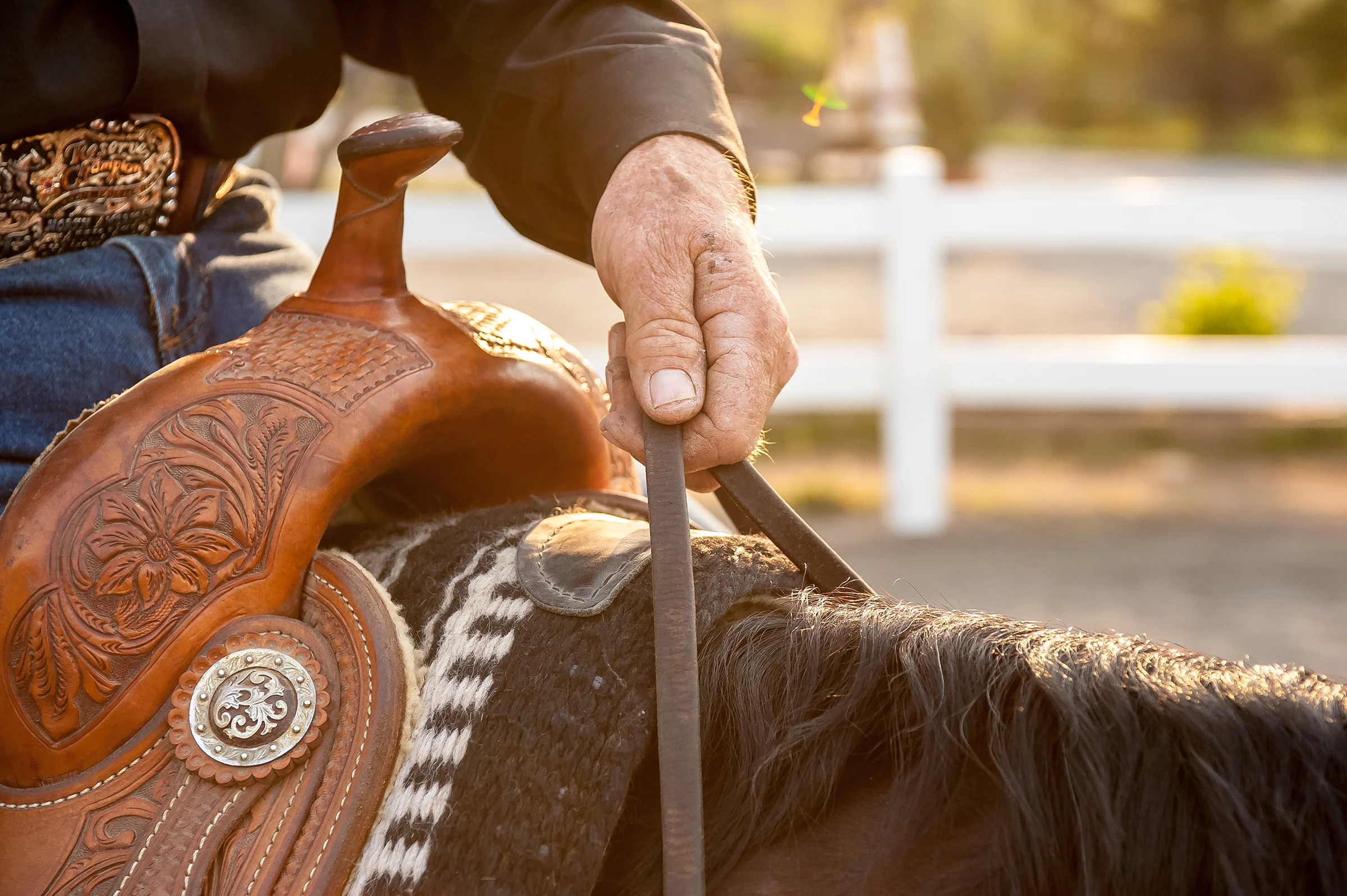 Not sure how this is going to look but worth a shot I guess... some projects need multiple images.