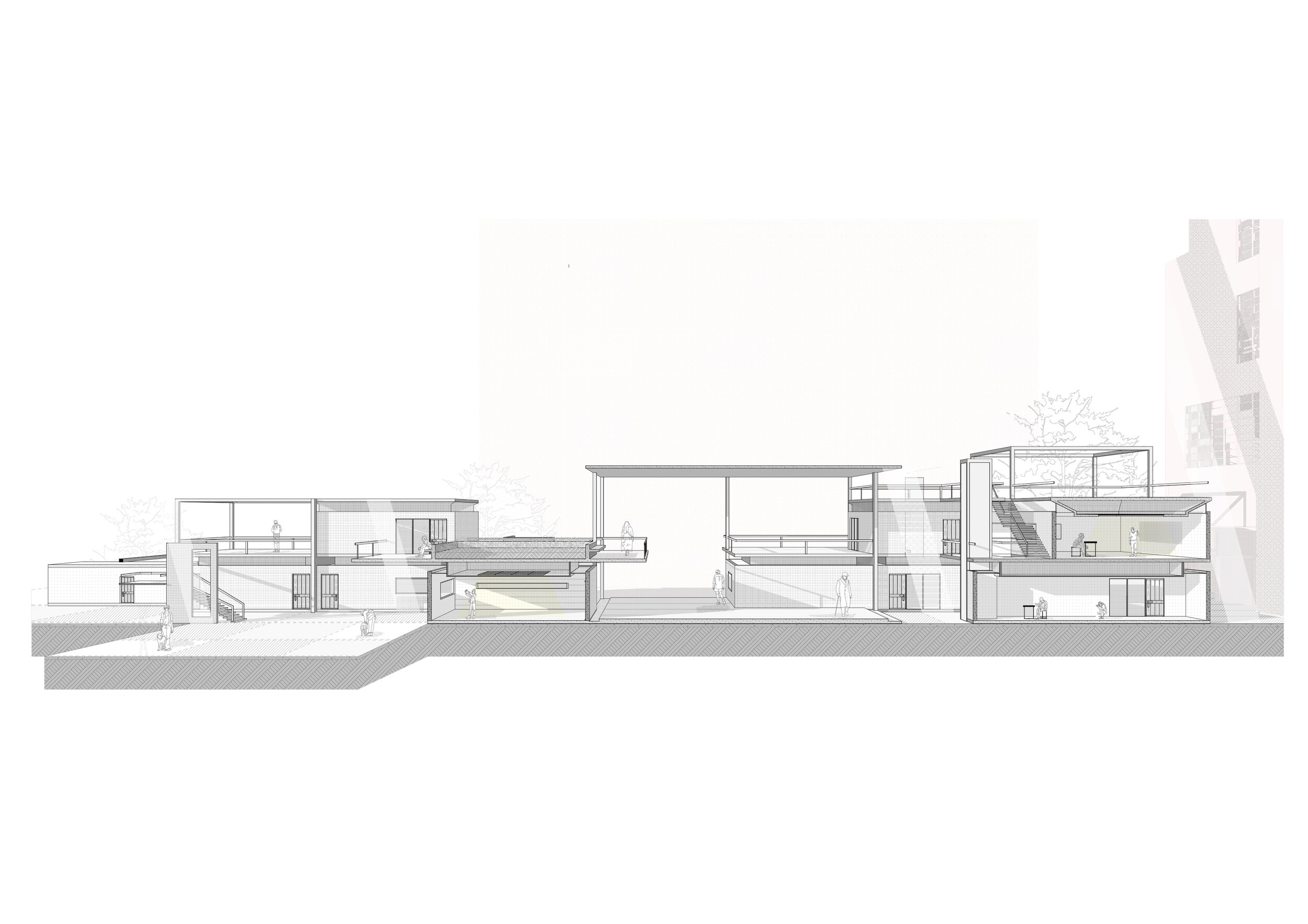 PERSPECTIVE 5_TRUONG_TIMOTHY_LG.jpg