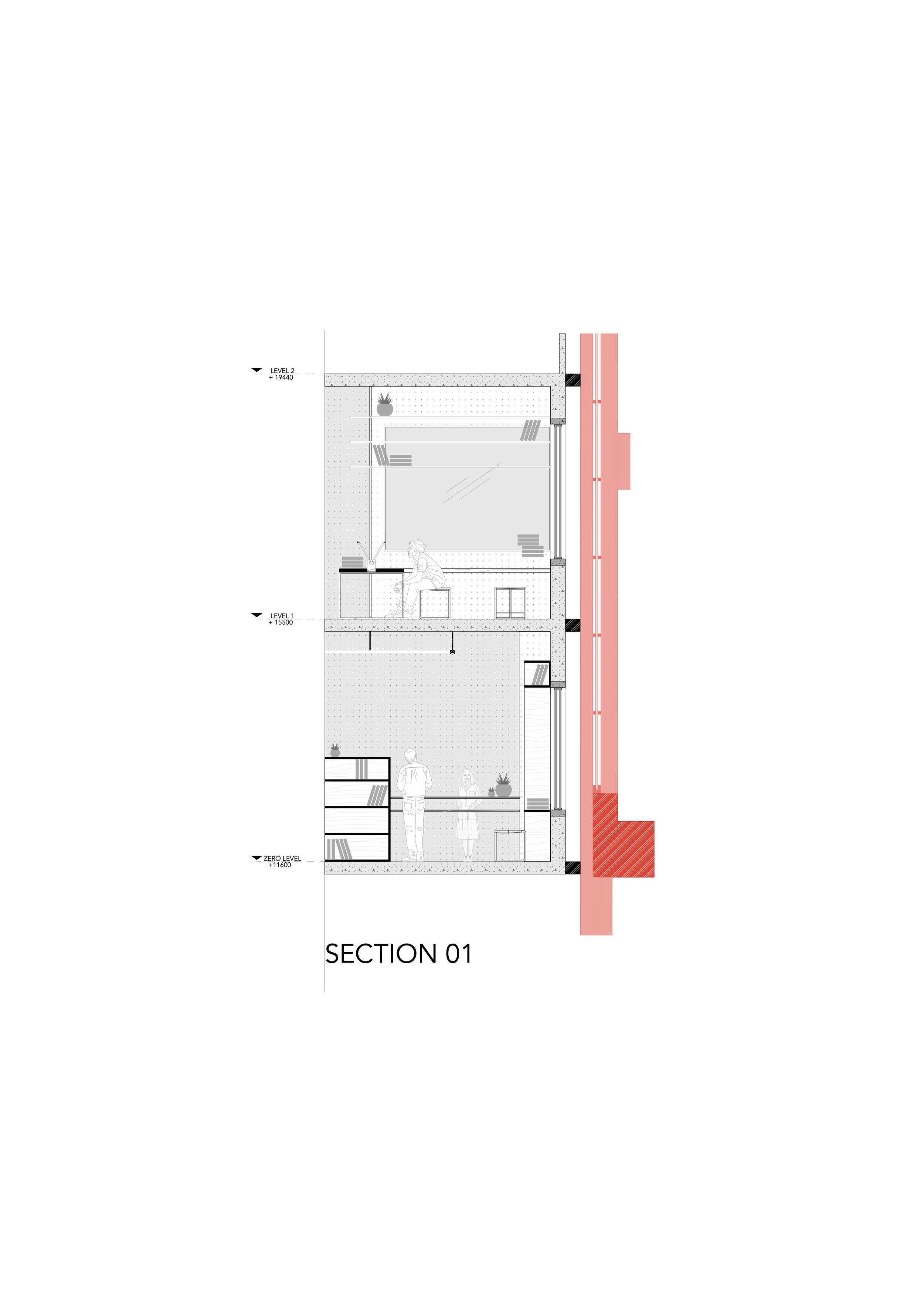 SECTION 4_TRUONG_TIMOTHY_LG.jpg