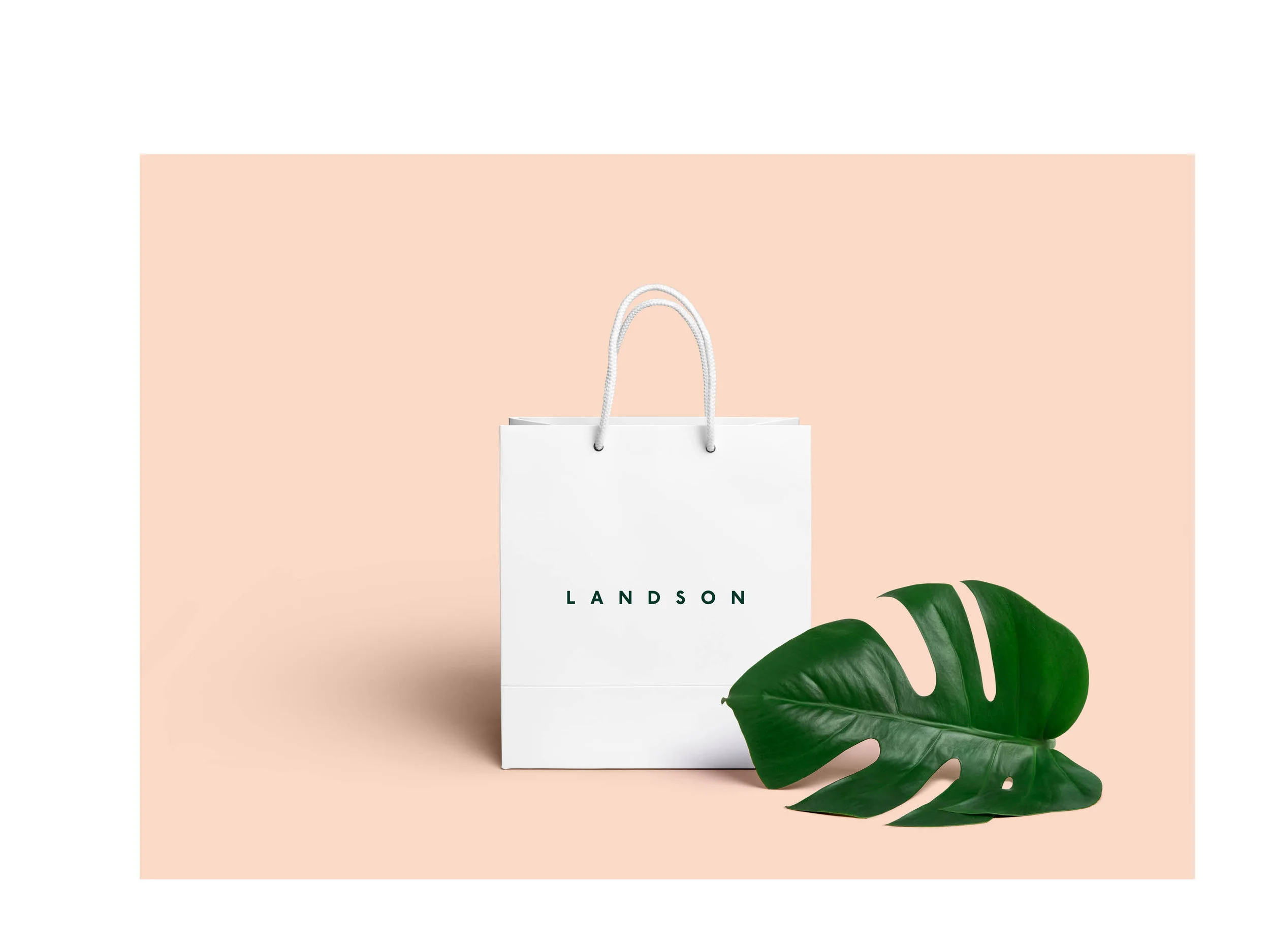 Fashion banner.jpg