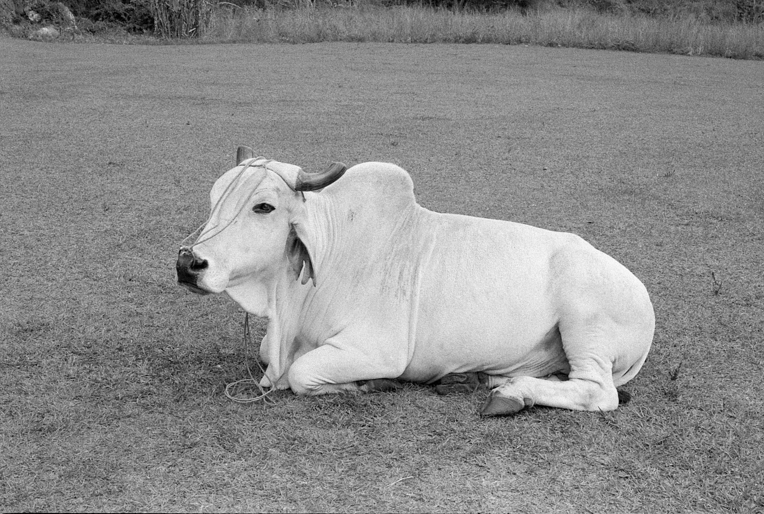 2017_04_R1_Cuba001_3.jpg