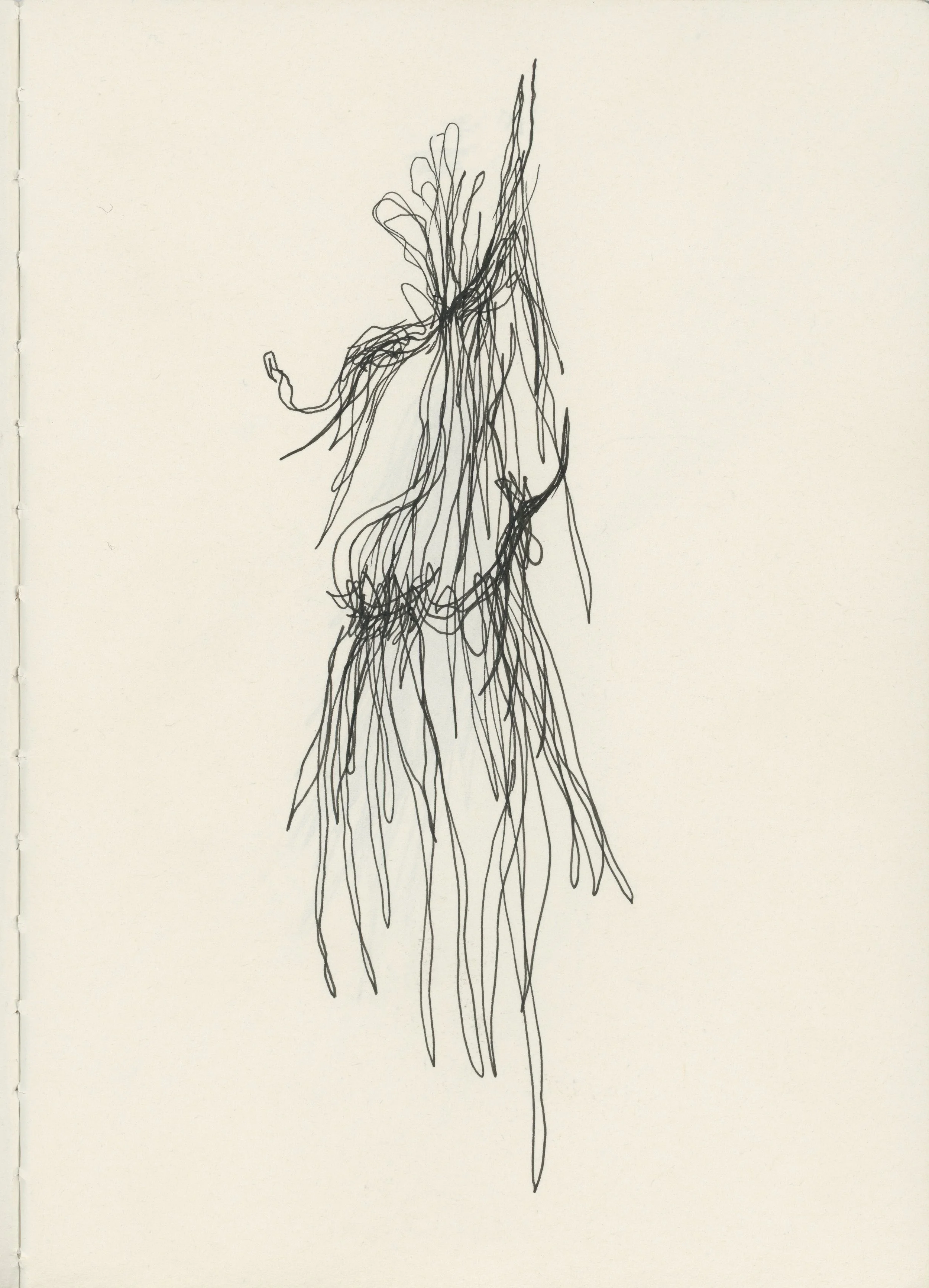 Notebook001 copy.jpg