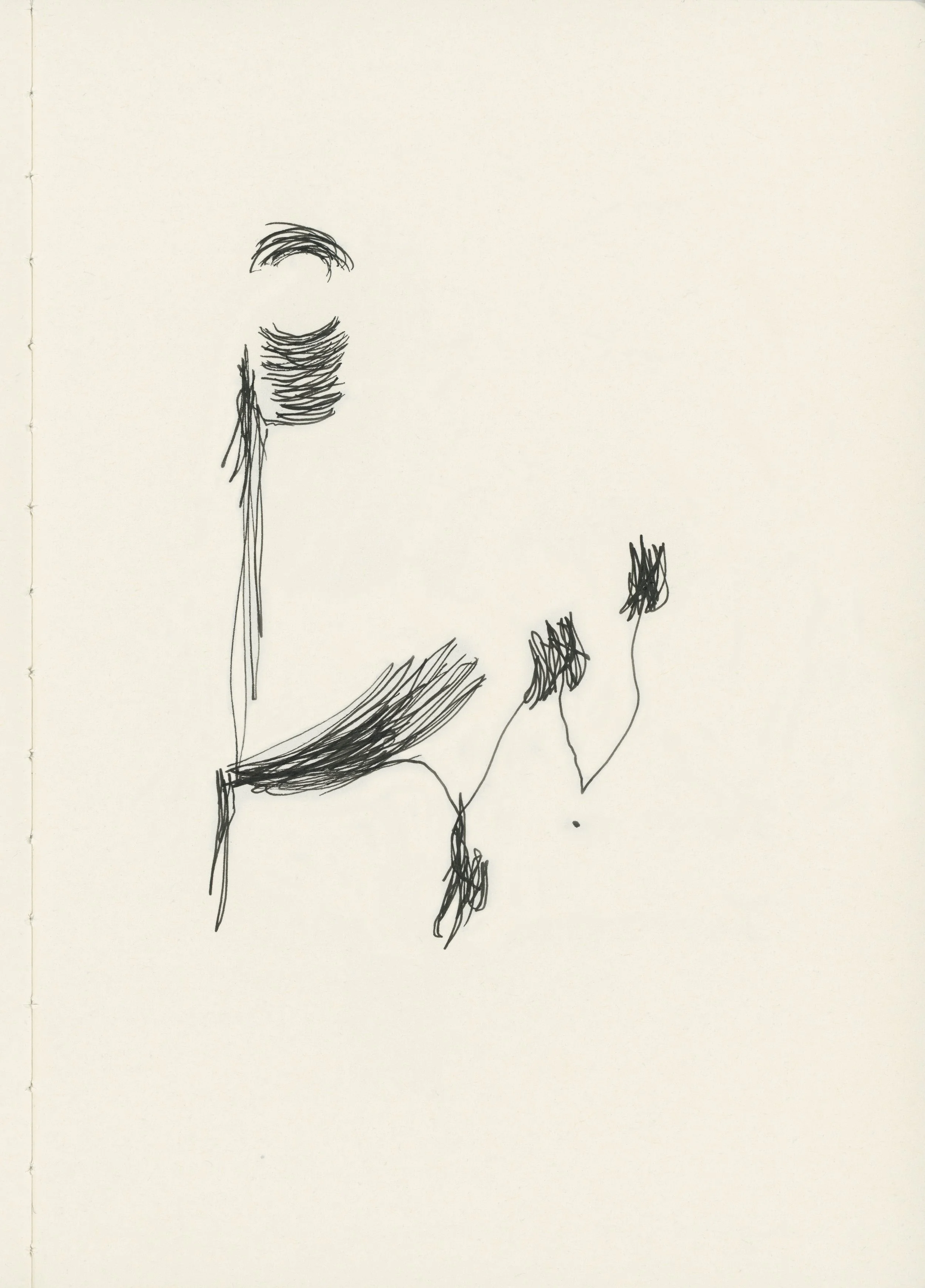 Notebook008.jpg