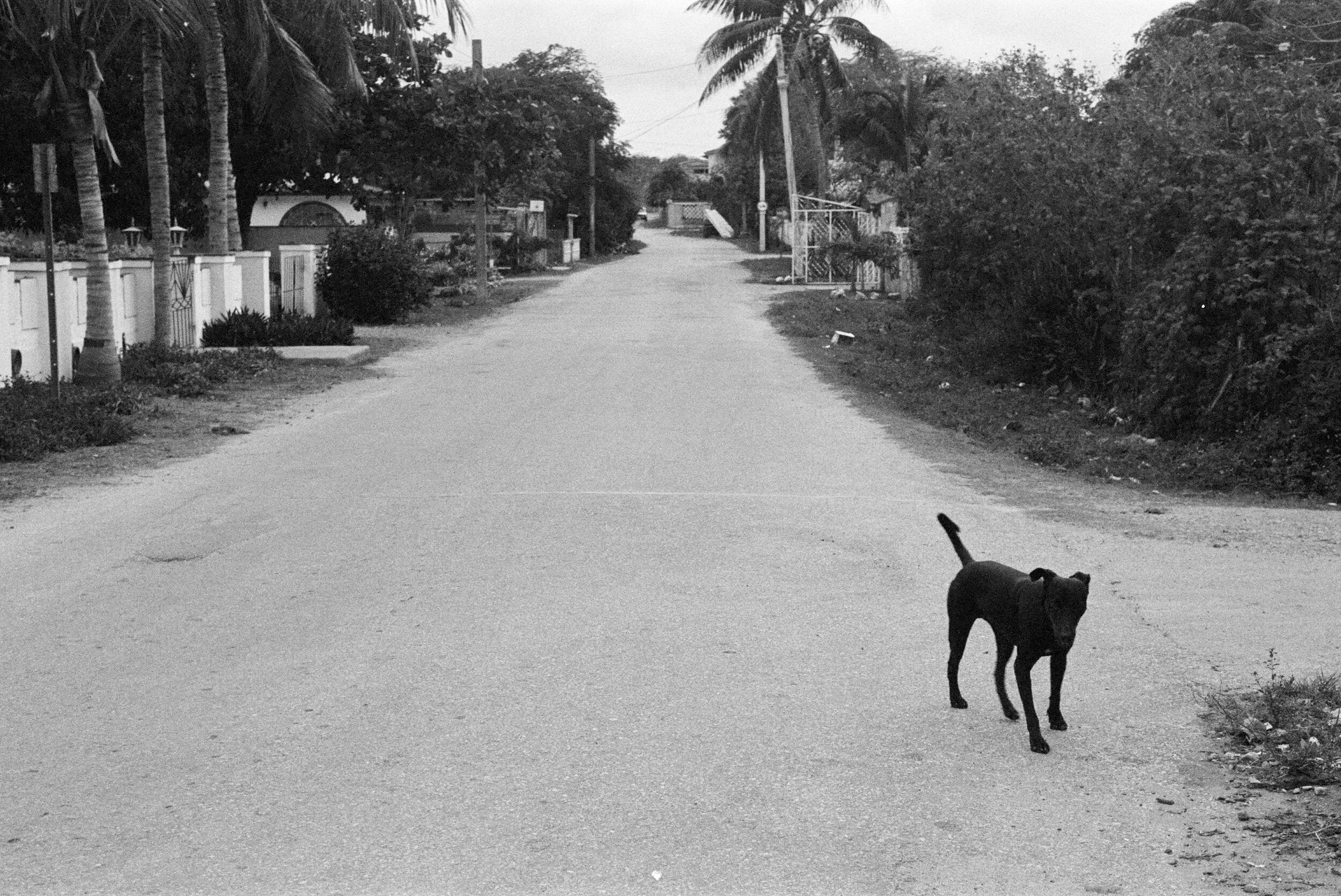 cuba10.jpg