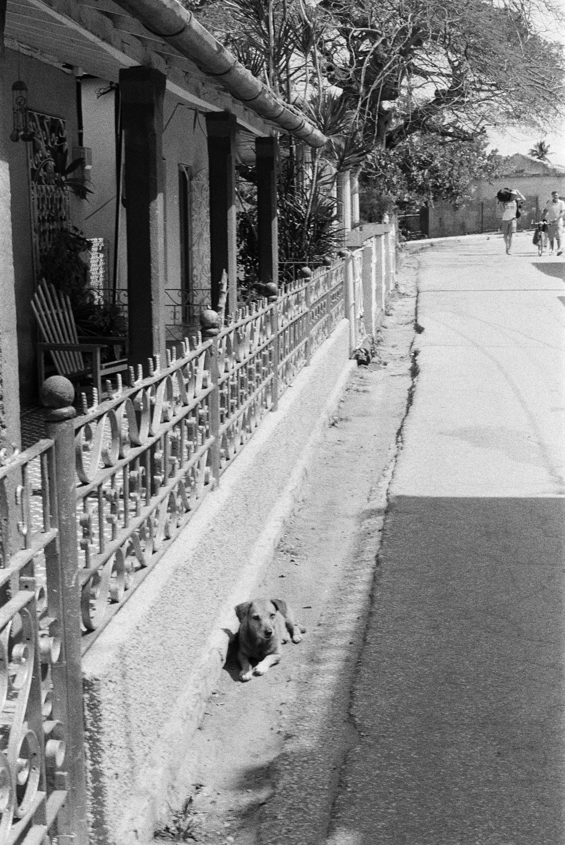 cuba16.jpg