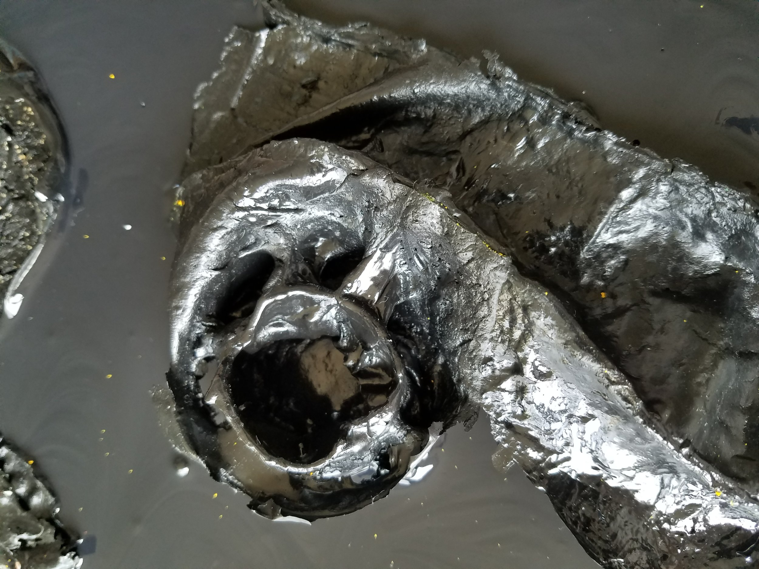 20180826_095641.jpg