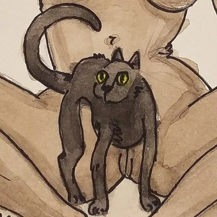 cat.jpg