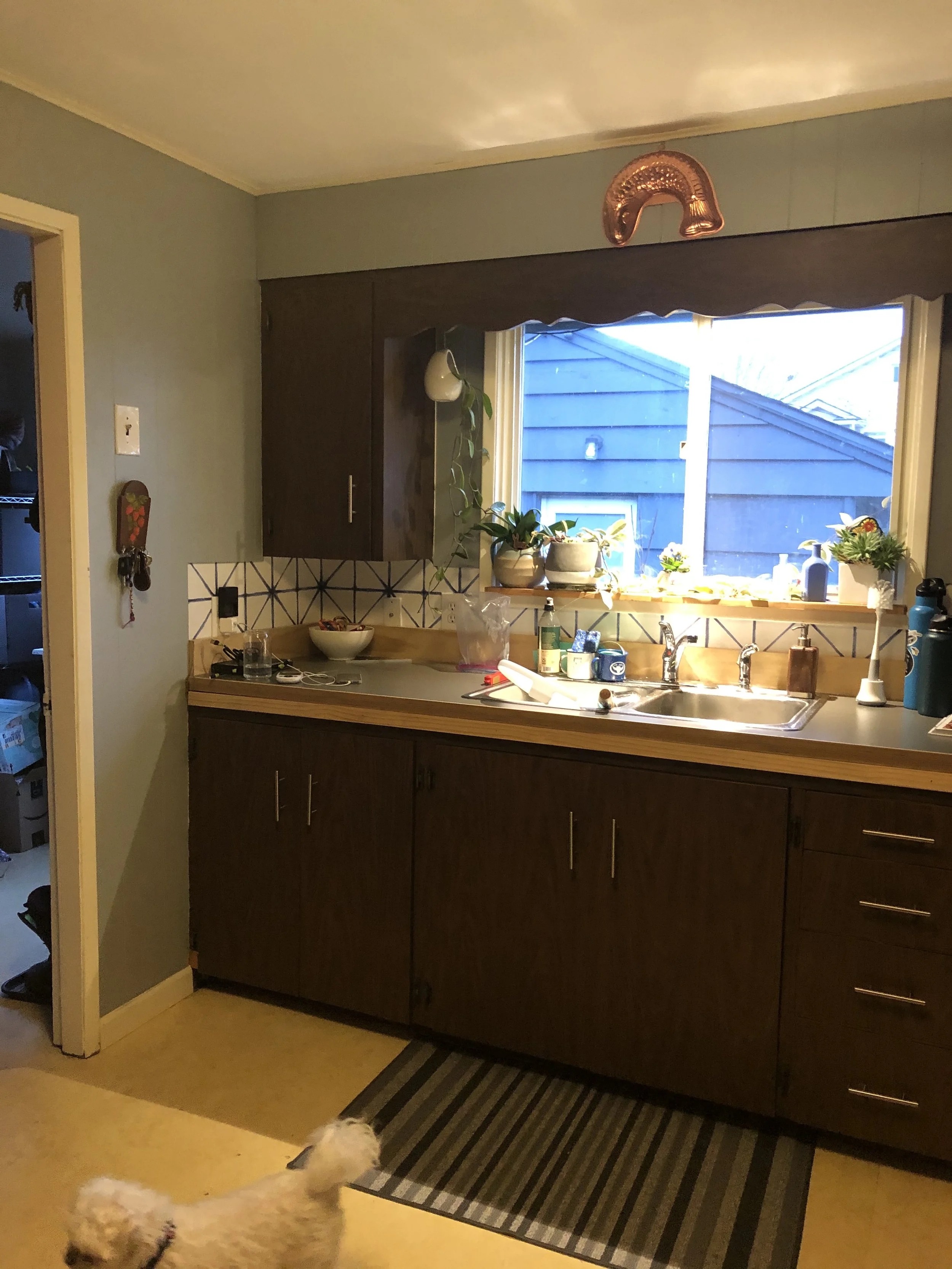Modern Cabin in the City - Before Dark Kitchen.jpeg