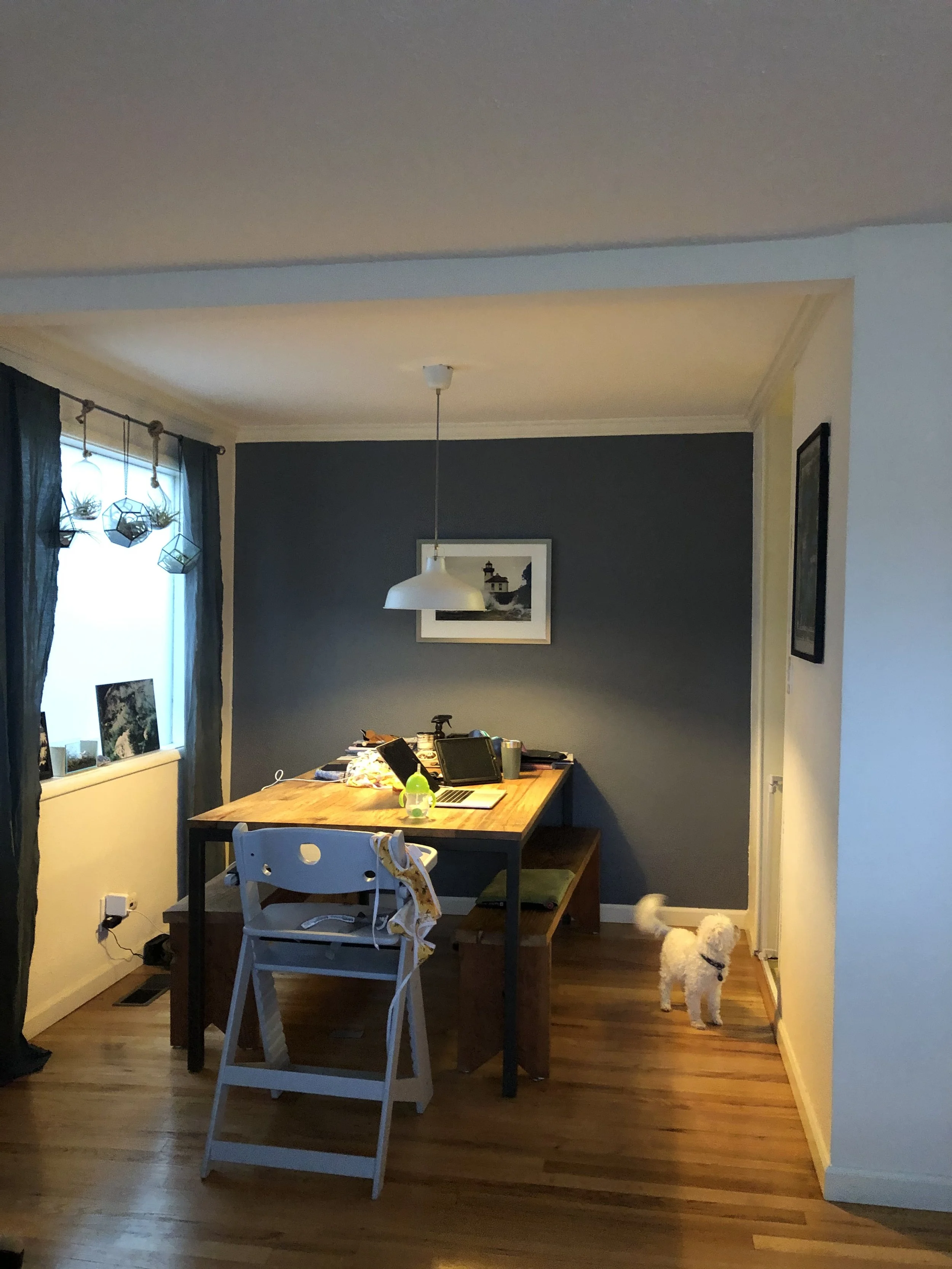 Modern Cabin in the City - Before Dining Room.jpeg
