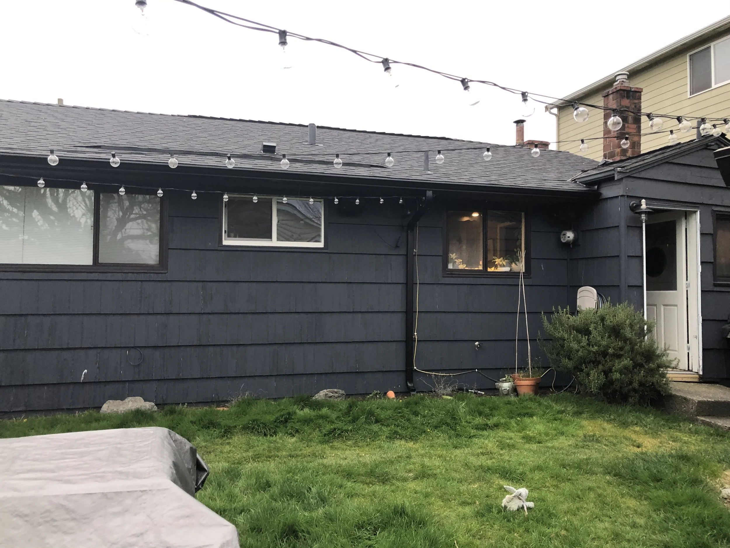 Modern Cabin in the City - Before Backyard.jpeg