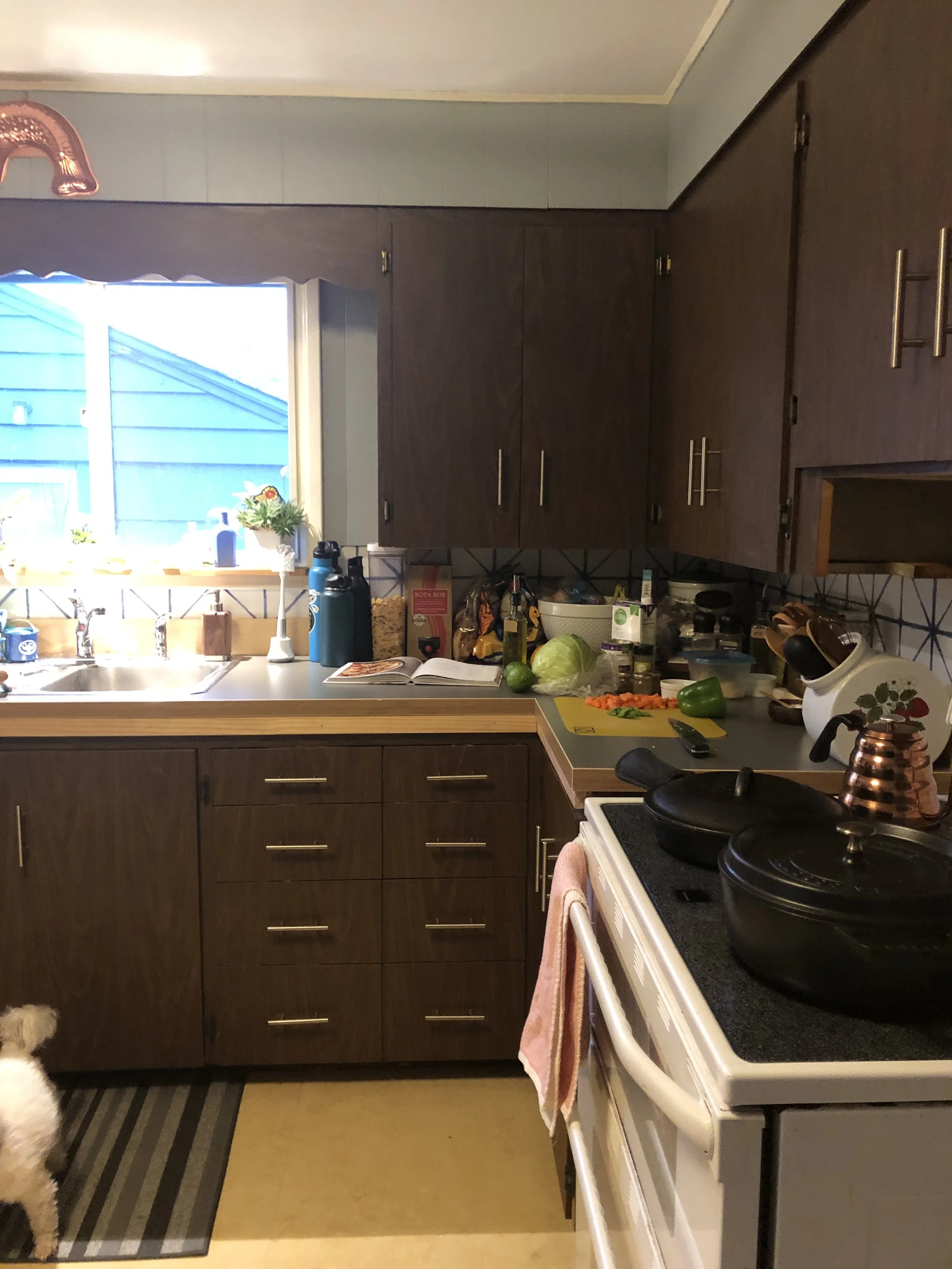 Modern Cabin in  the City - Before Kitchen.jpeg