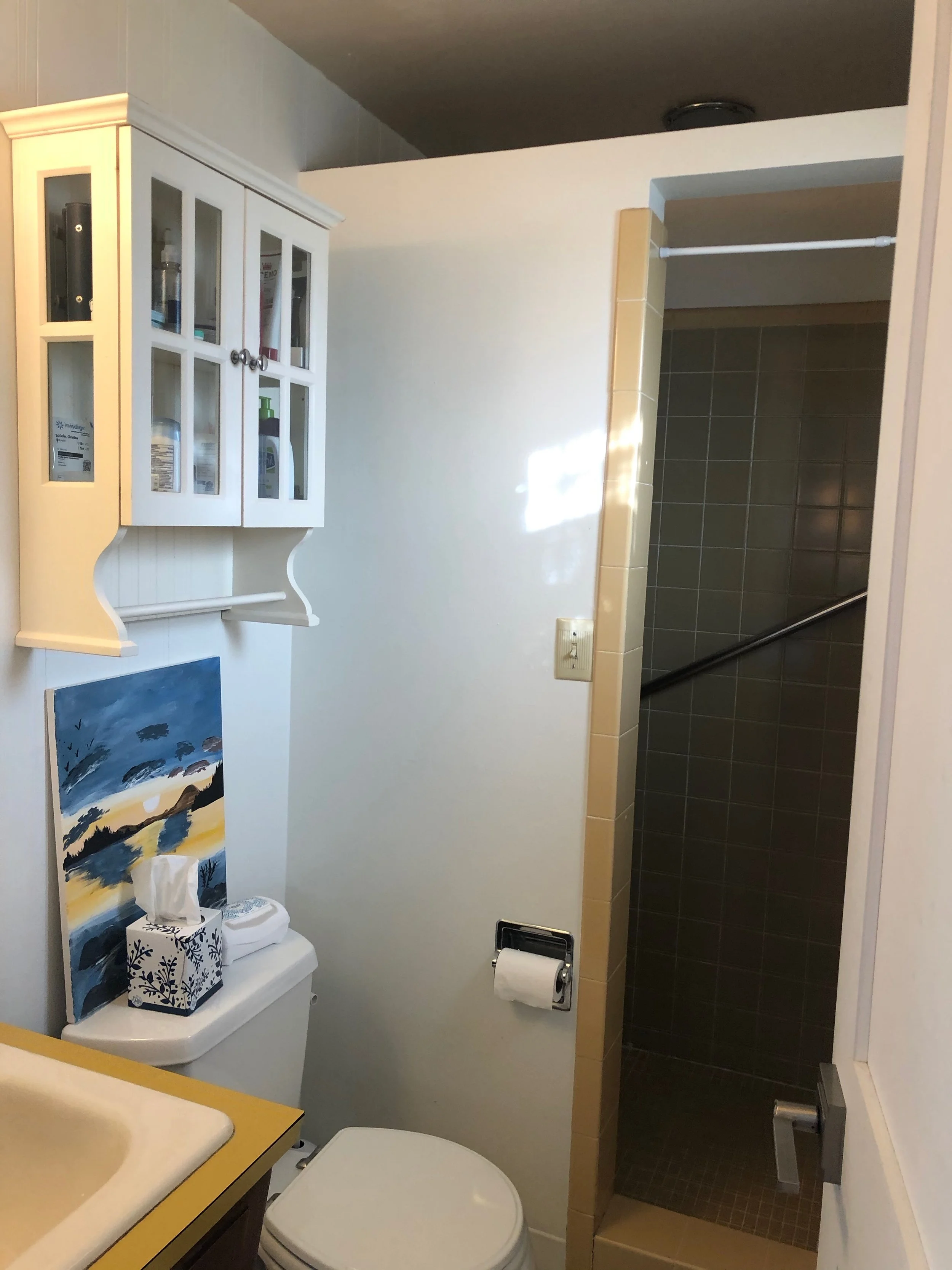 BEFORE - Bathroom.jpeg