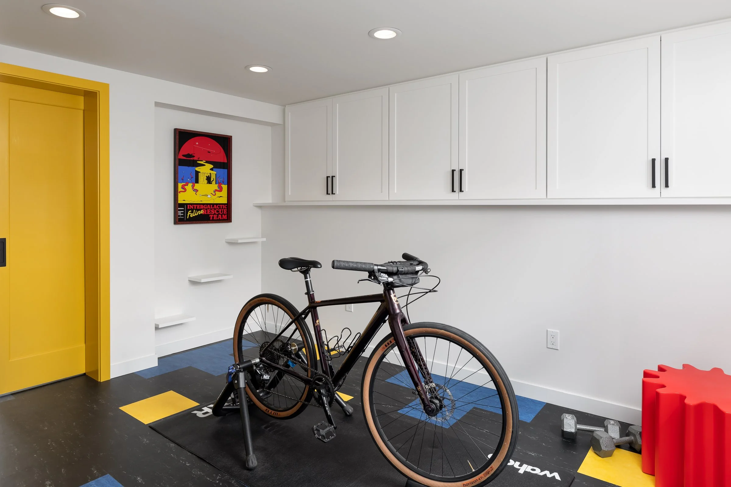 Workout space, cat entertainment and wine storage in Seattle basement remodel