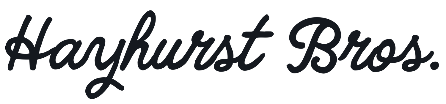 The Hayhurst Brothers