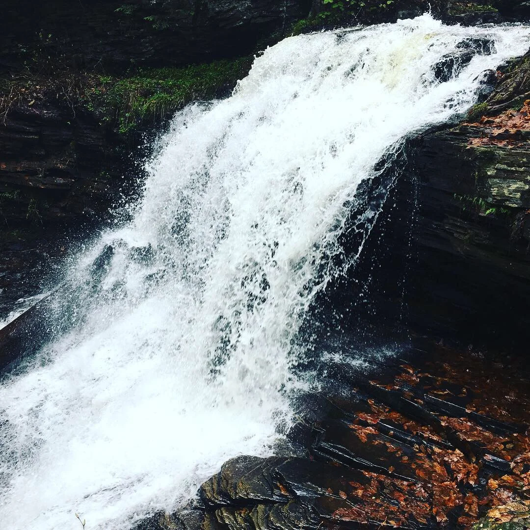 Ricketts Glen State Park