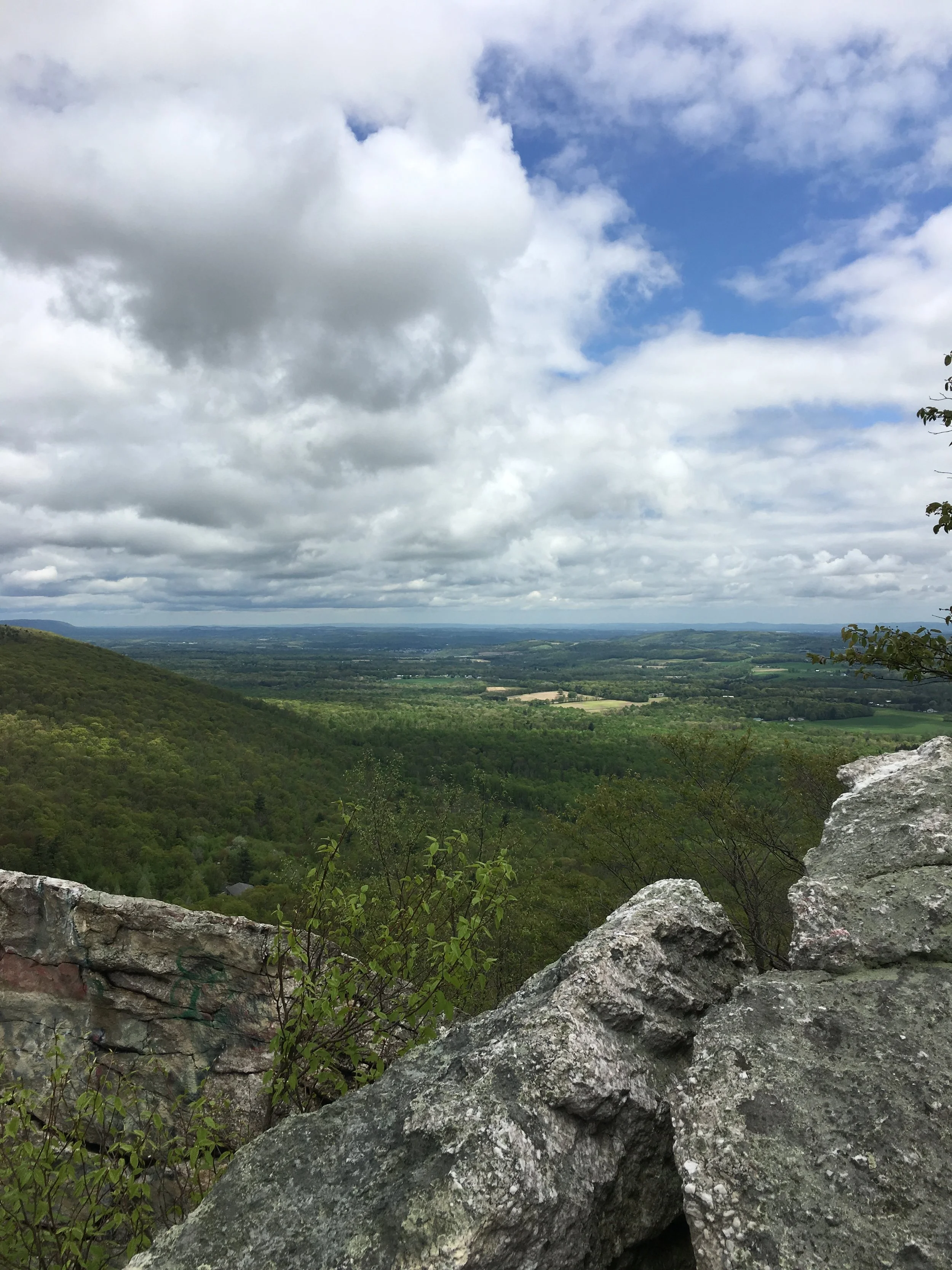 Bake Oven Knob