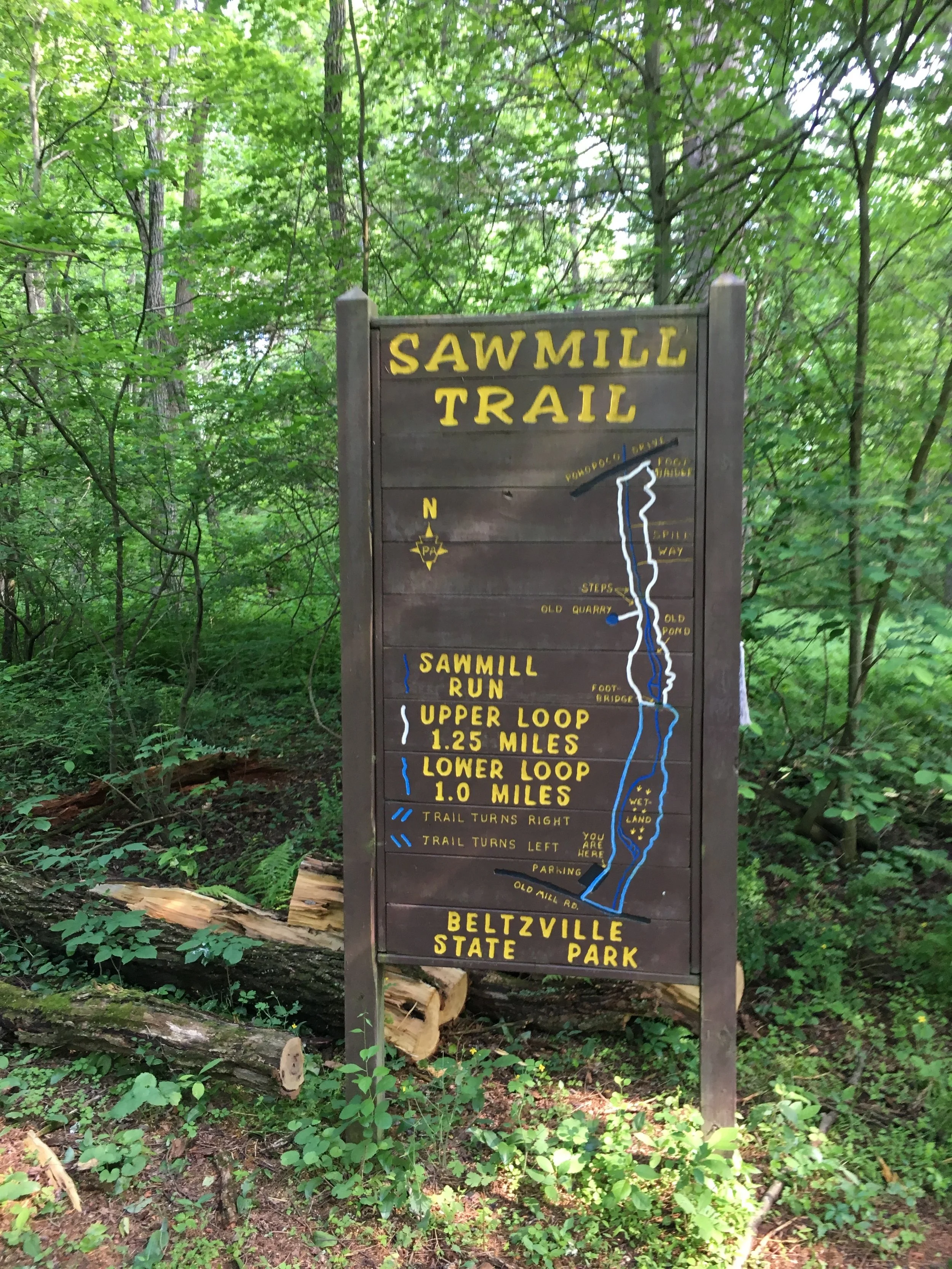 Saw Mill Trail