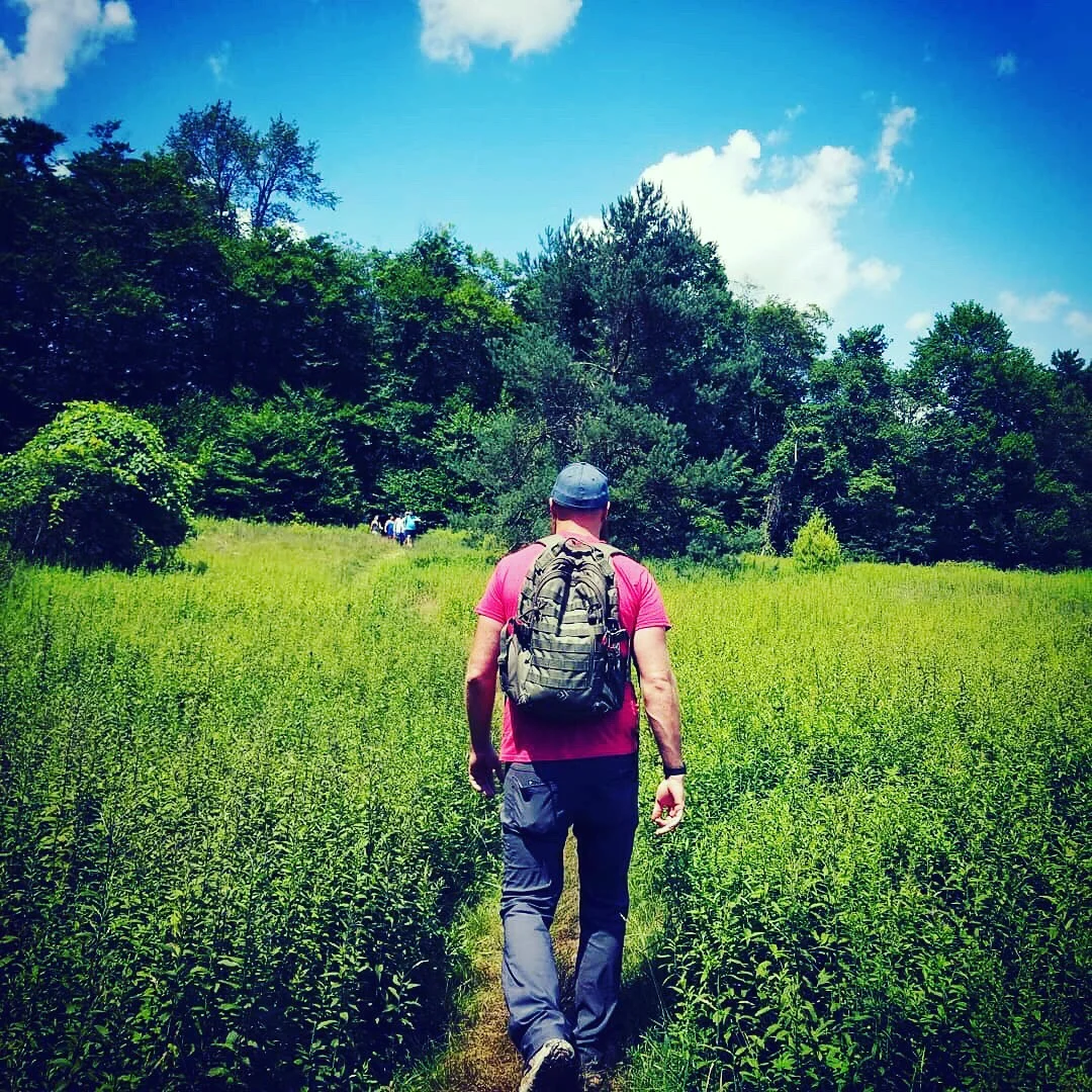 A Field full of Rocks