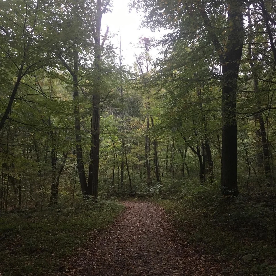 Virginia Journey #1 Lands Run Falls Trail