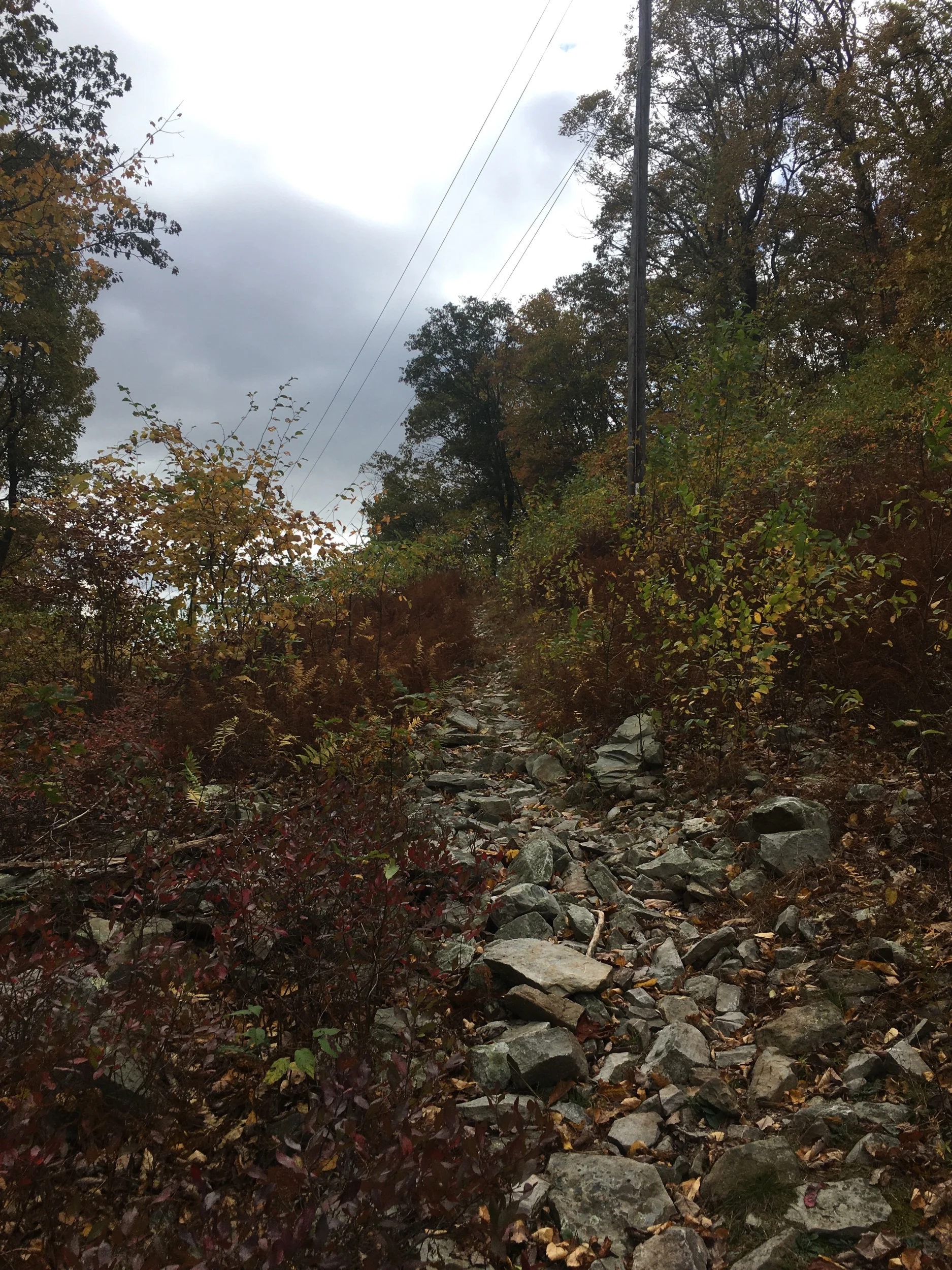 Appalachian Trail: wind gap to Smith gap