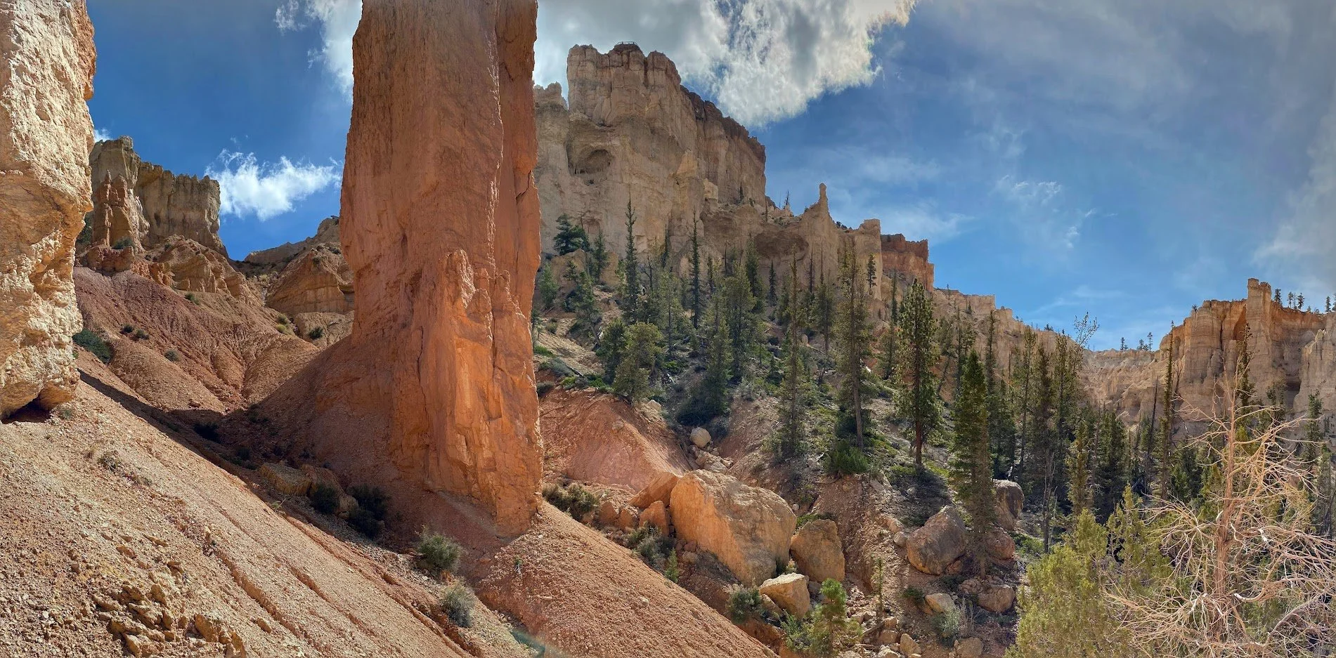 IMG_8075-PANO.jpg
