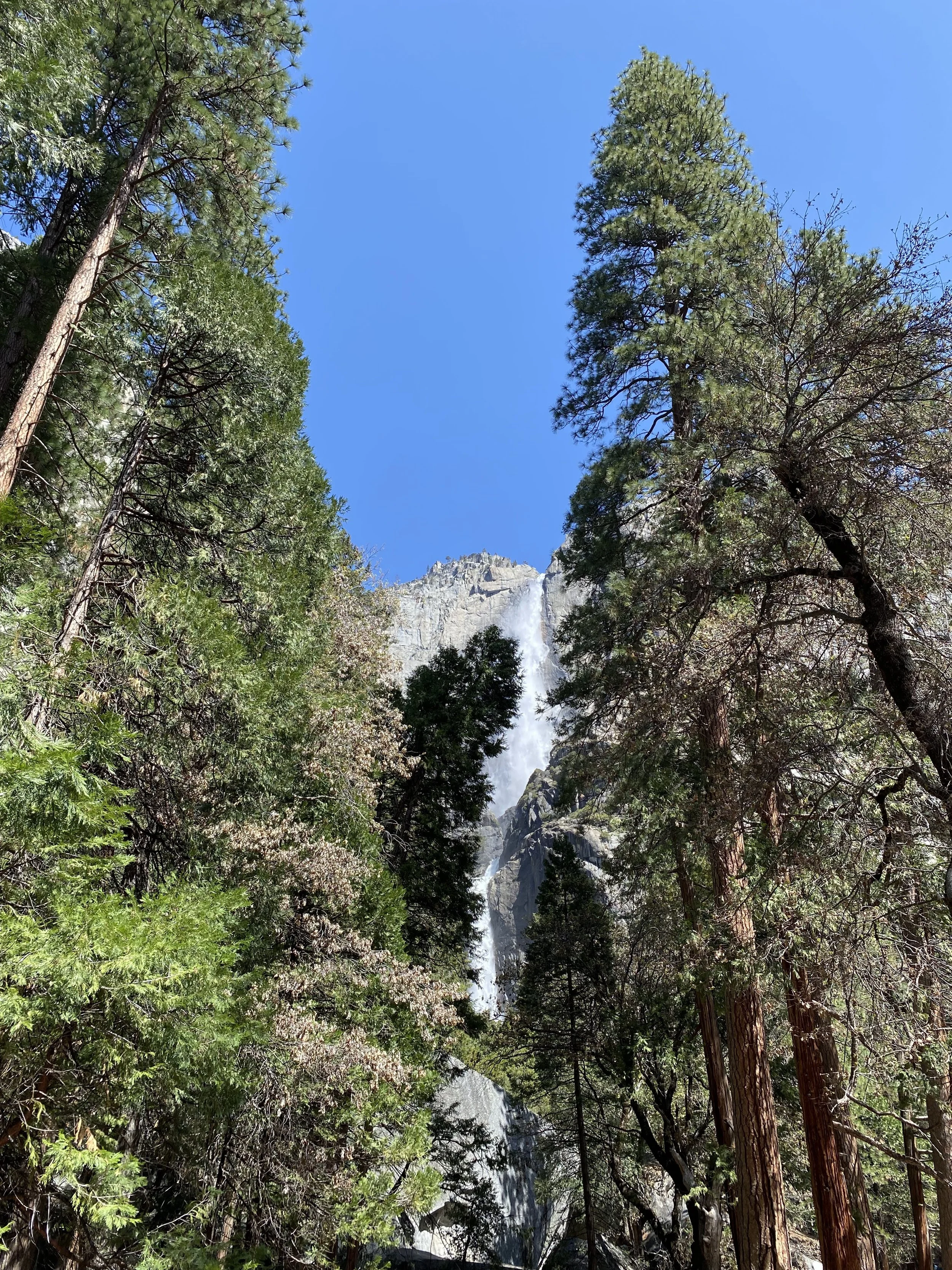 lower falls.jpg
